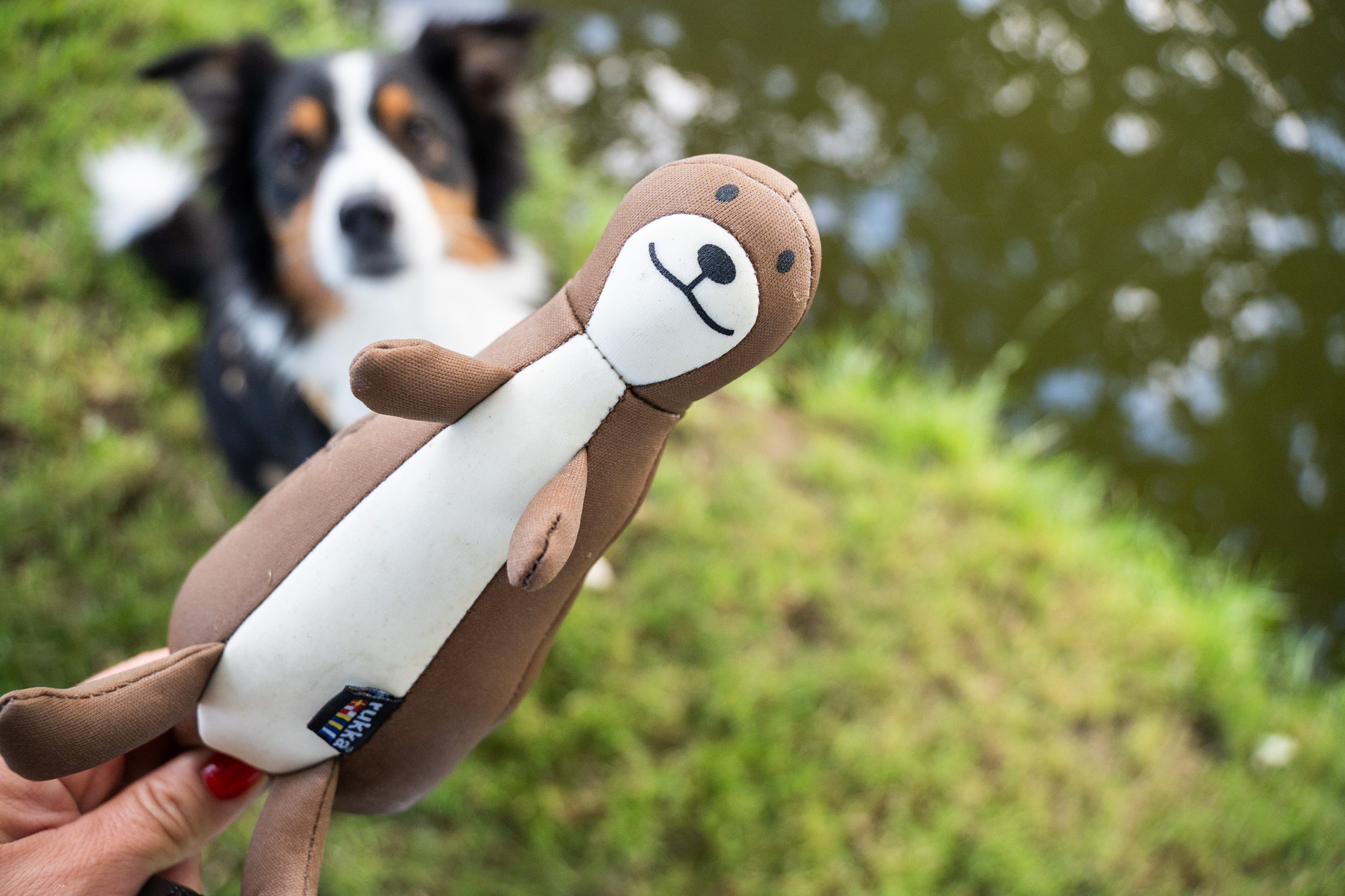 RUKKA Pets Floating Toy