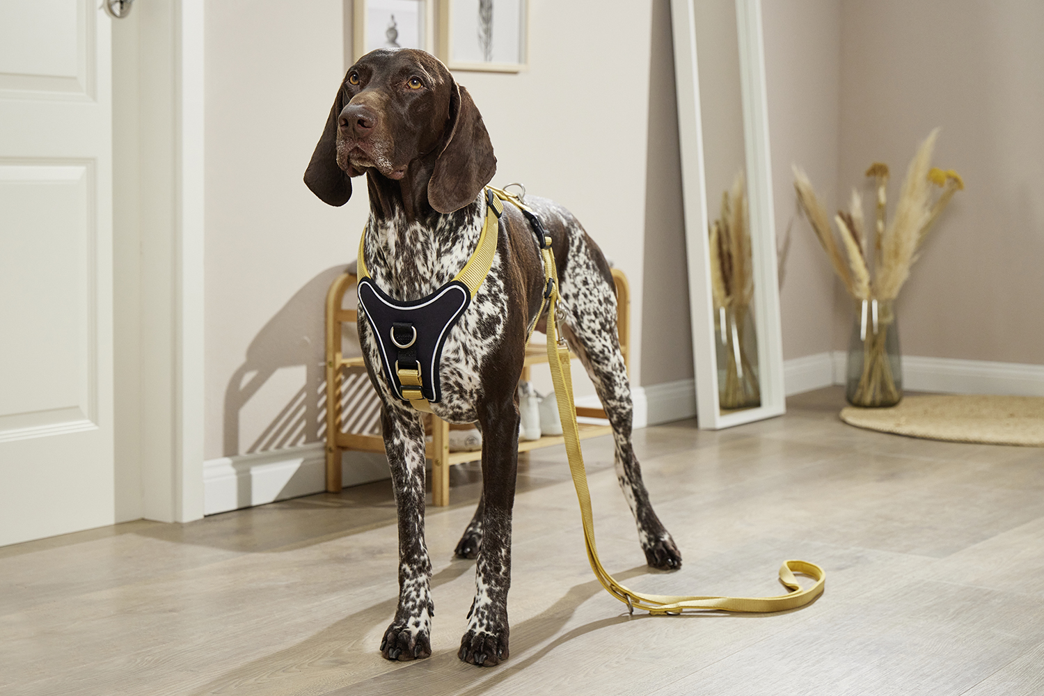 Tierbedarf WOLTERS cat & dog GmbH