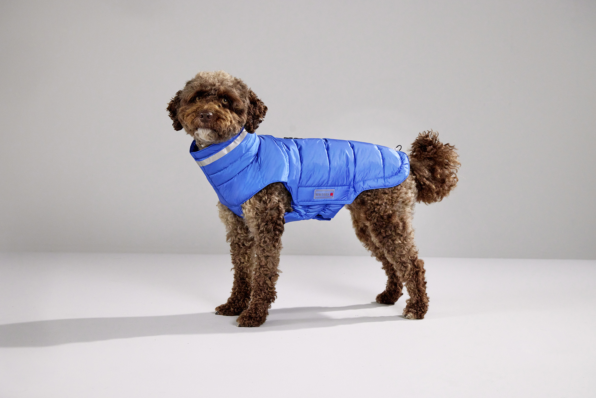 Steppjacke Cosy