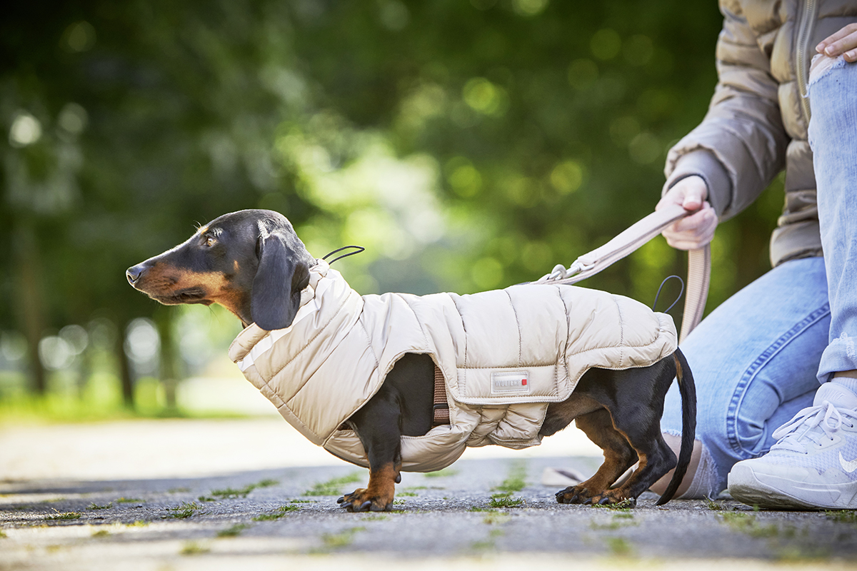 Cosy Quilted Jacket – longer back