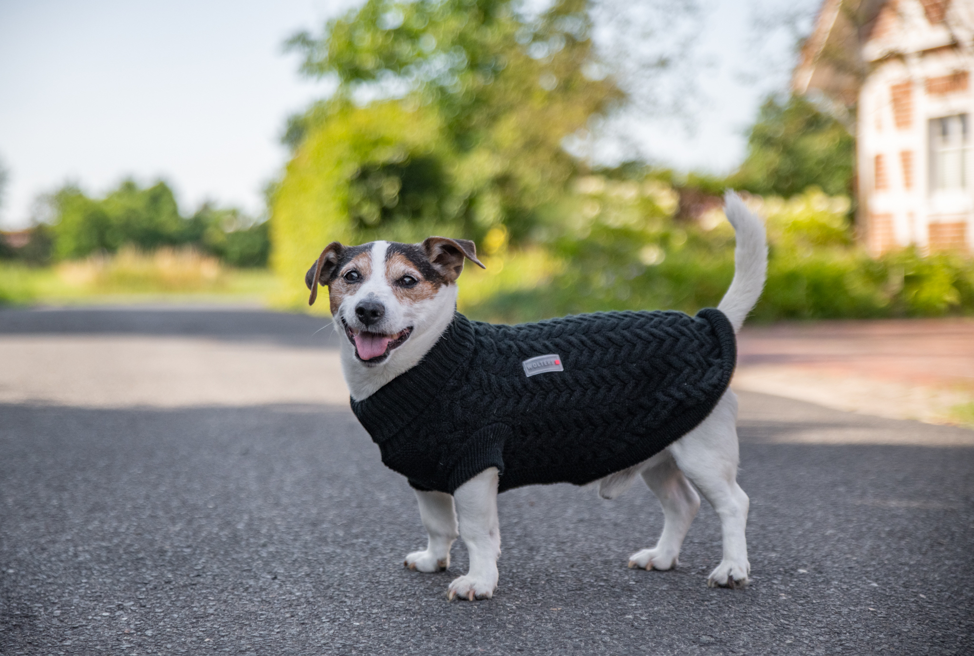 Strickpullover Isolde