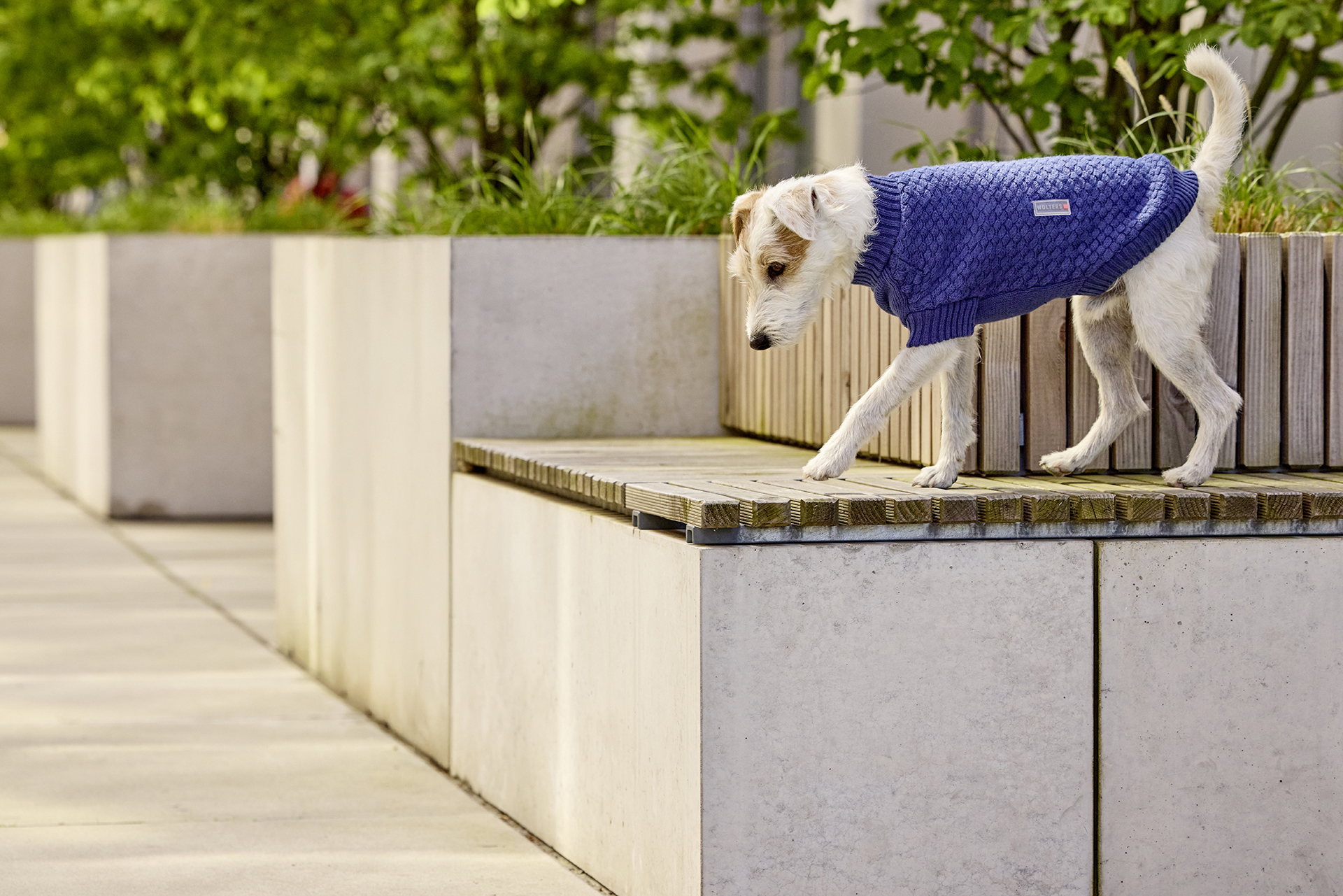 Strickpullover Square