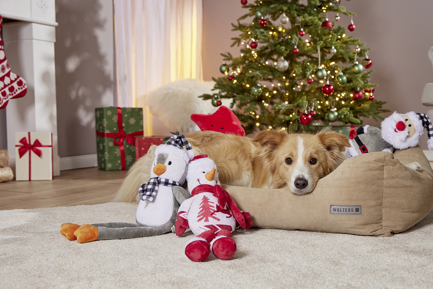  WOLTERS cat & dog GmbH