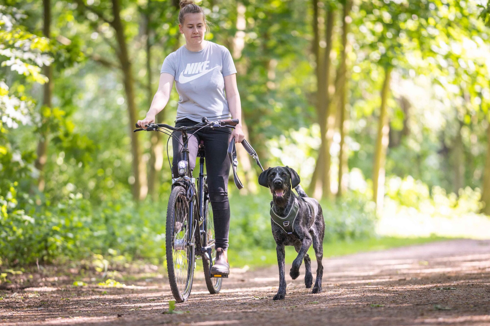 Active Pro Comfort Geschirr