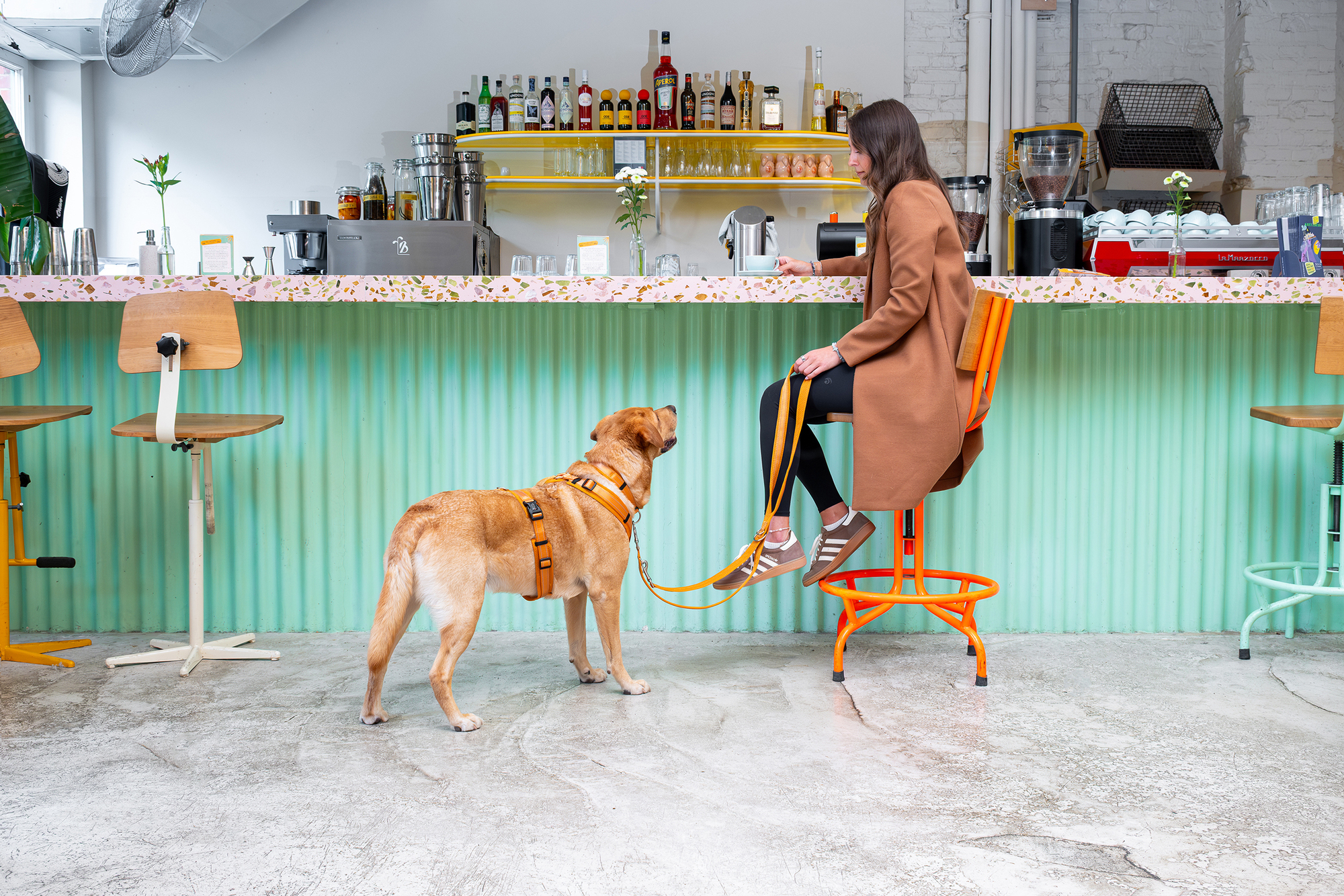 Tierbedarf WOLTERS cat & dog GmbH