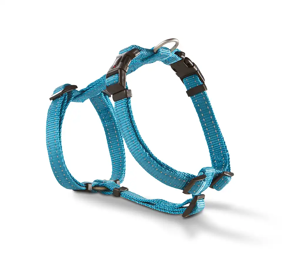 Soft & Safe Professional Geschirr