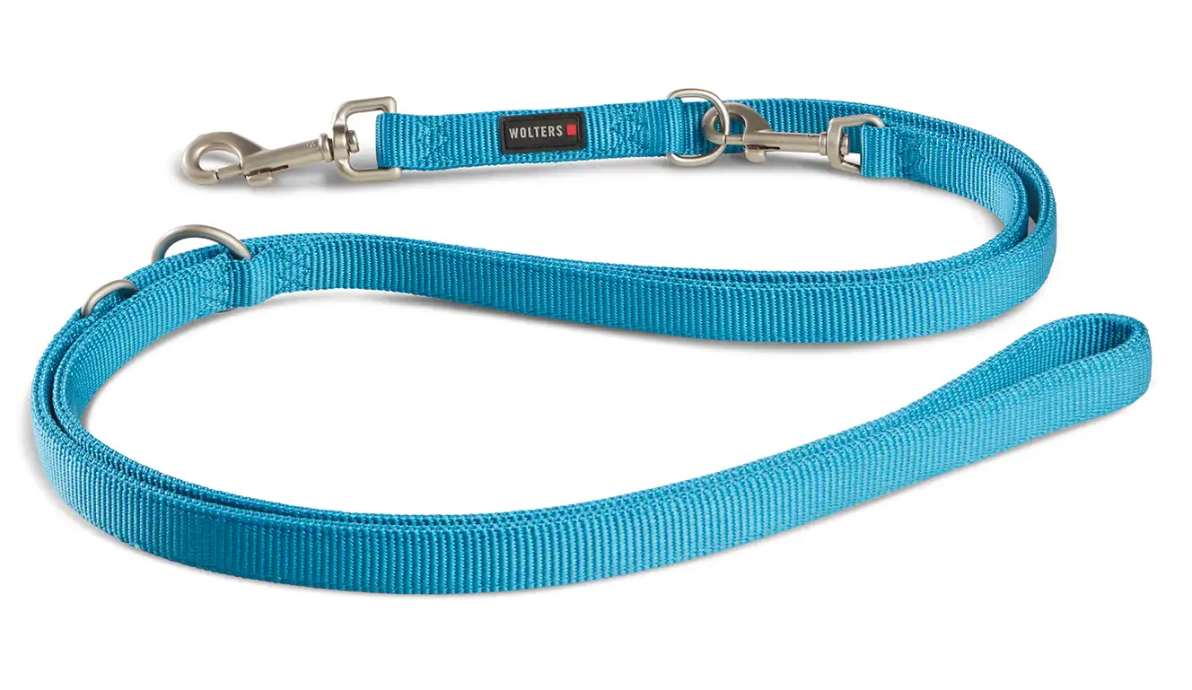 Professional Führleine