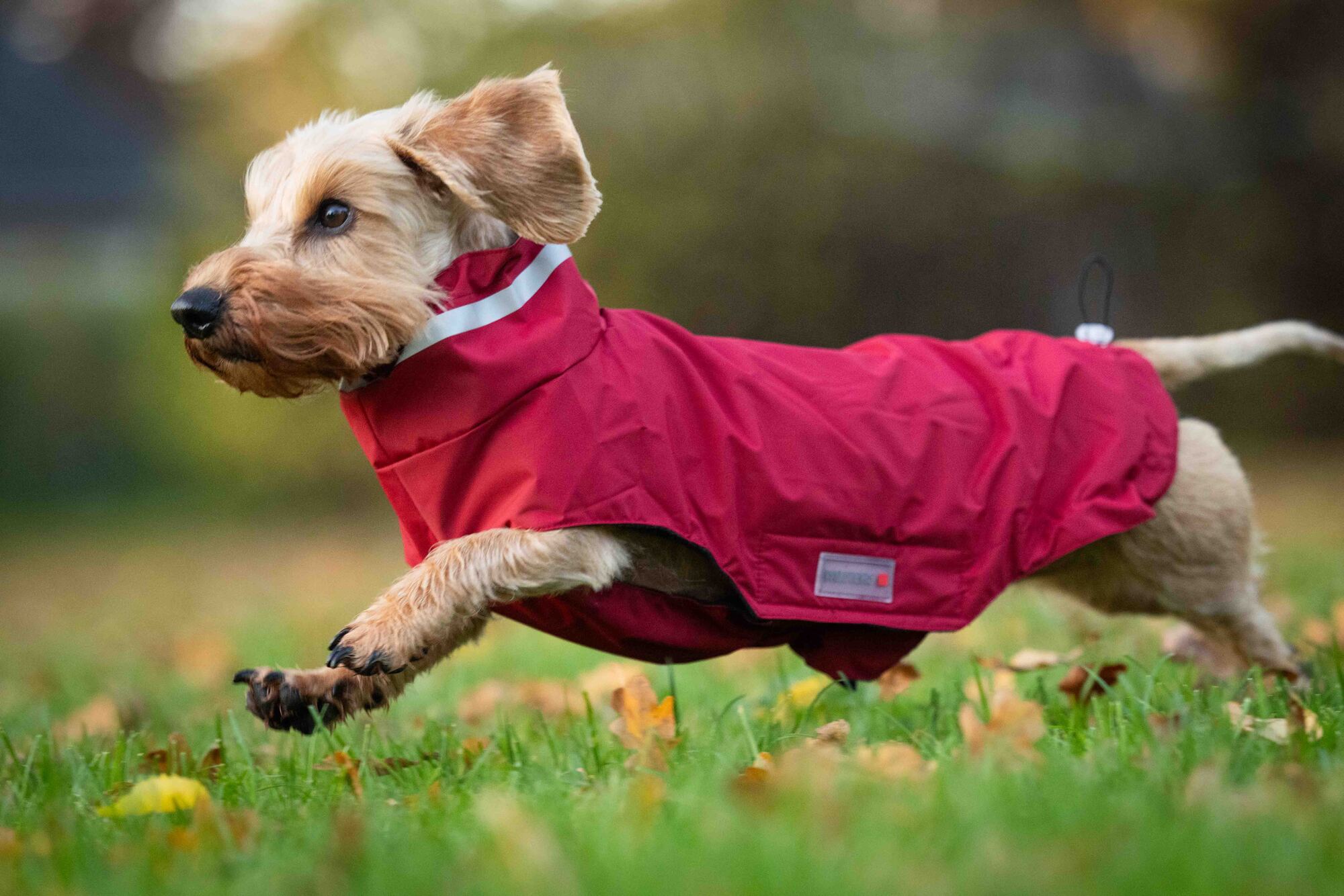 Outdoor Jacket Modern Classic – long back