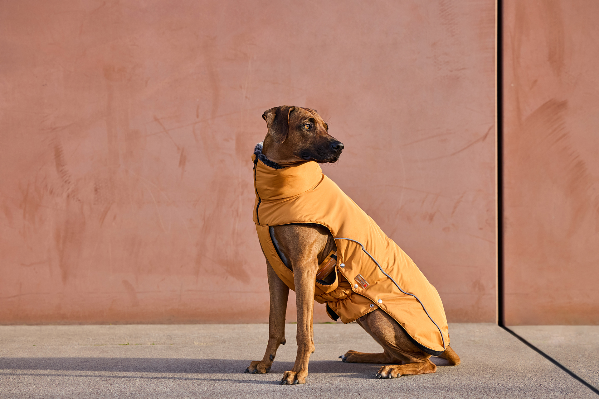 Amundsen Winter Coat