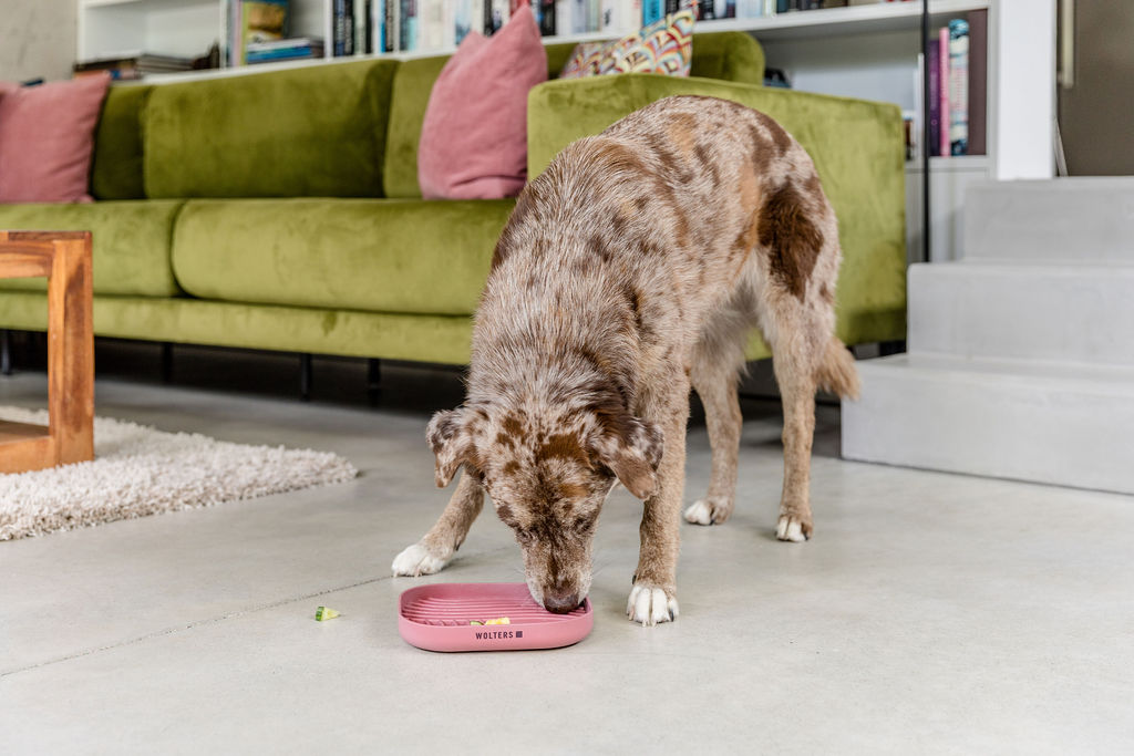 Playful Schleckmatte