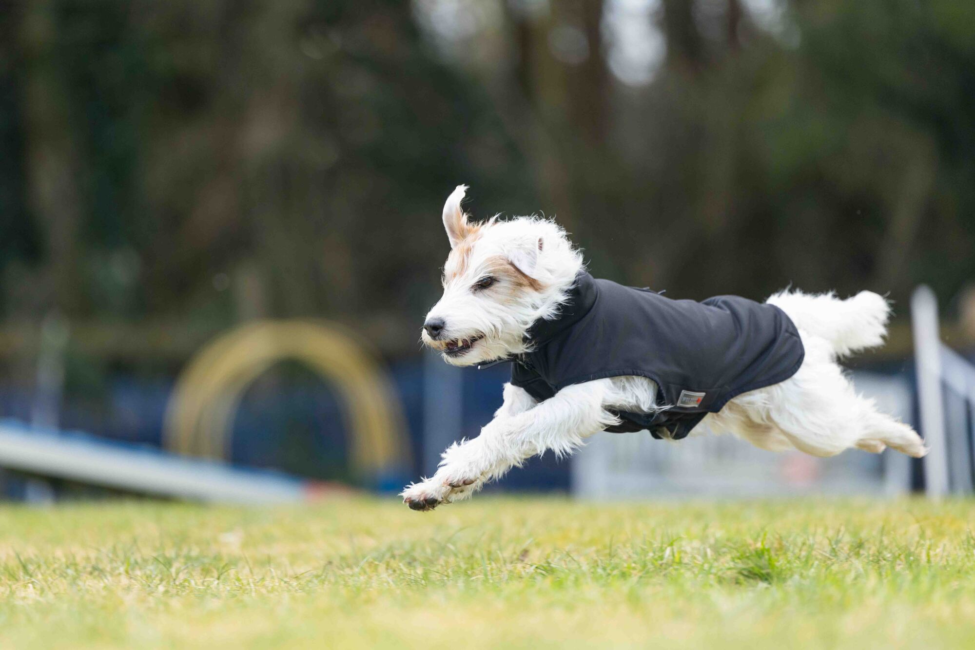 Casual Softshell Jacket