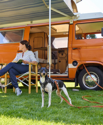 Wolters Regenjacke Für Hunde - Wasserdicht & Atmungsaktiv In Salbeigrün