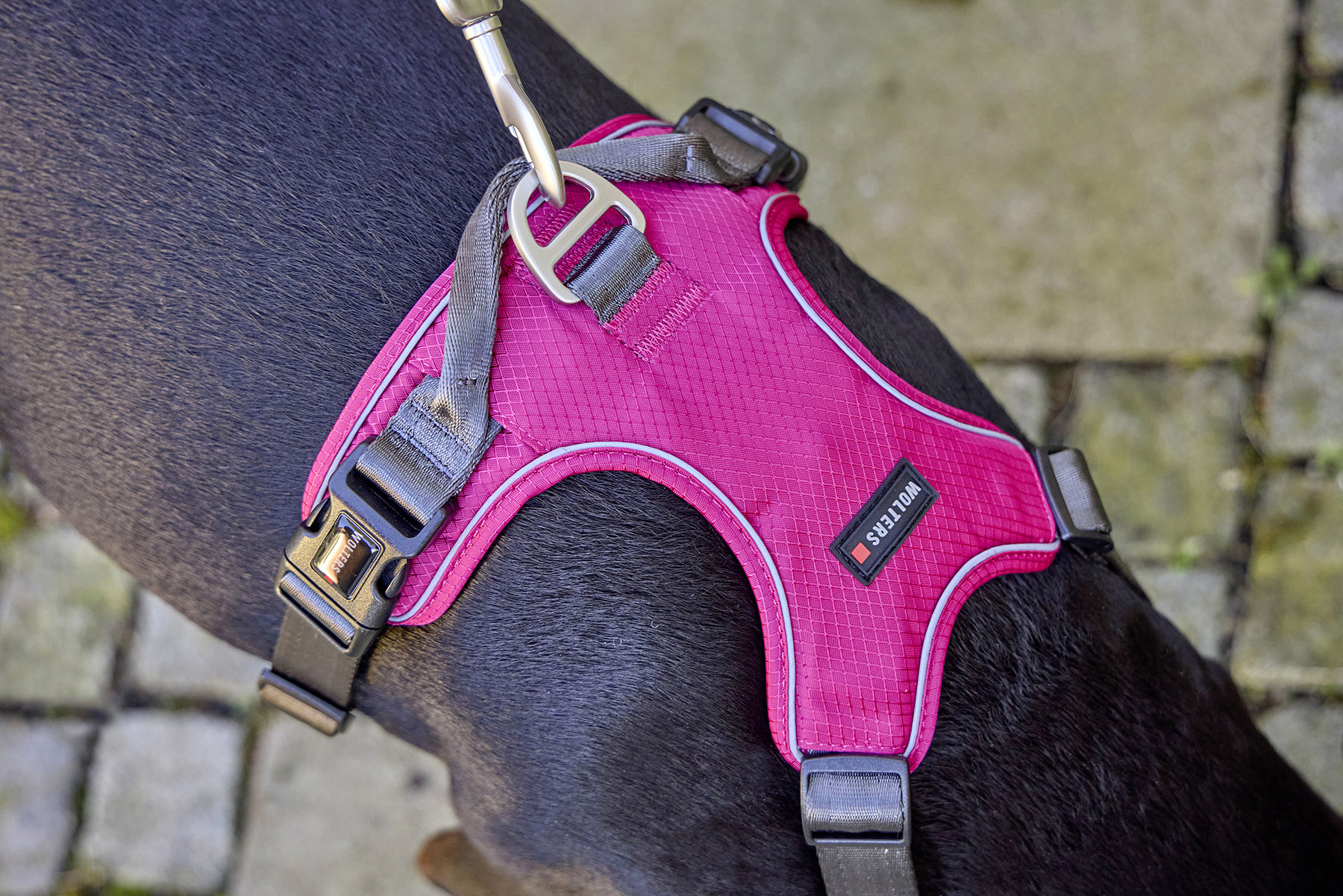 Active Pro Comfort Geschirr