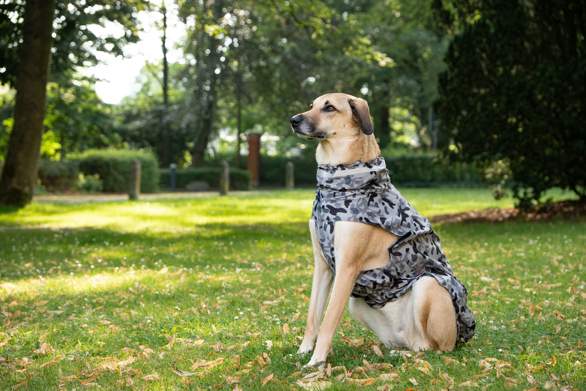 Camouflage Rain Jacket