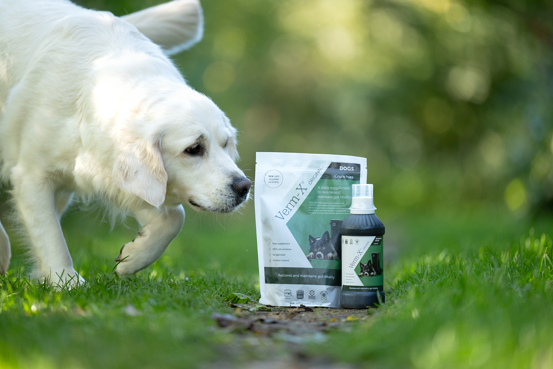  WOLTERS cat & dog GmbH