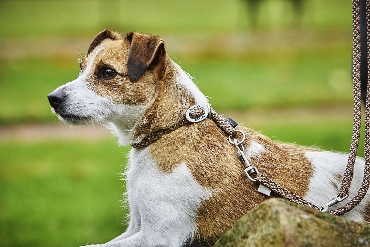 Everest Rope Series Slip Collar