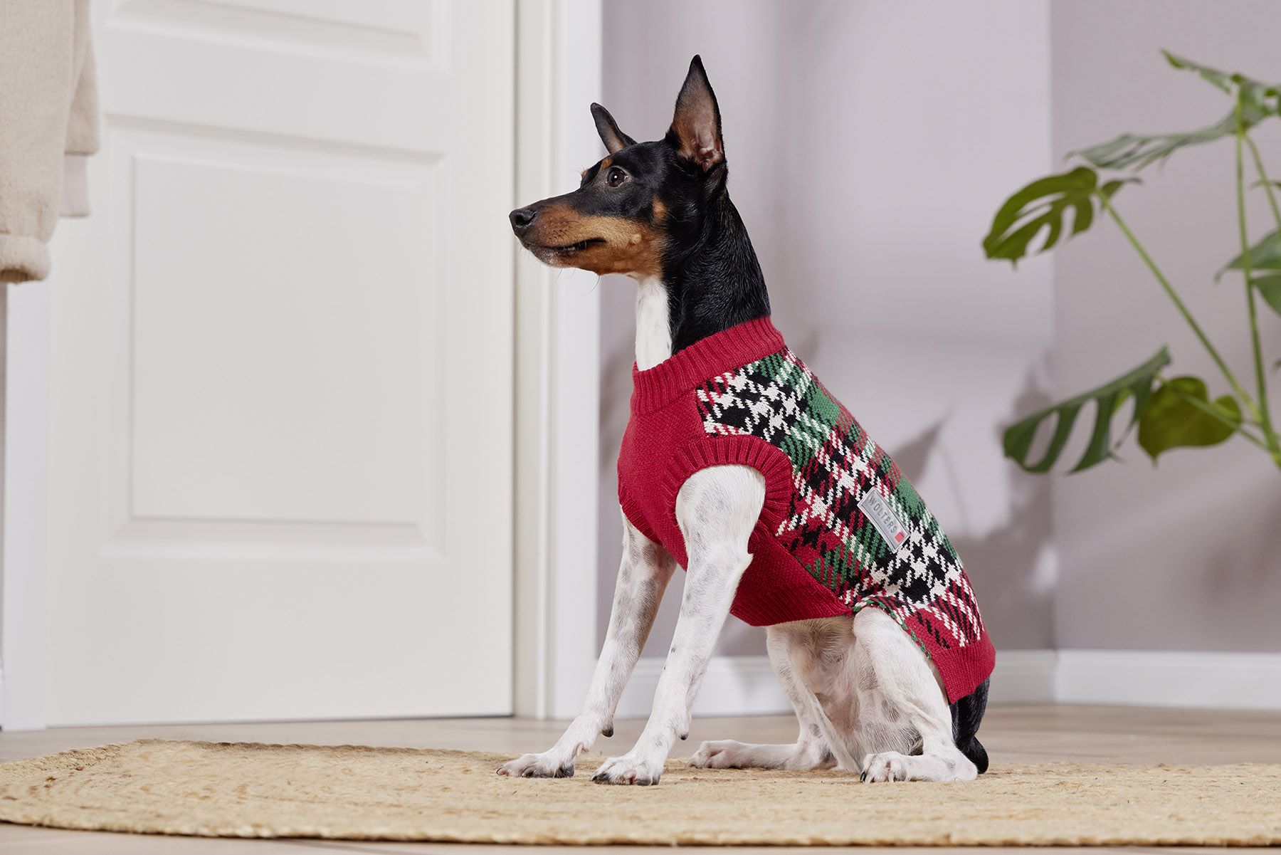 Knitted Jumper Karolinchen