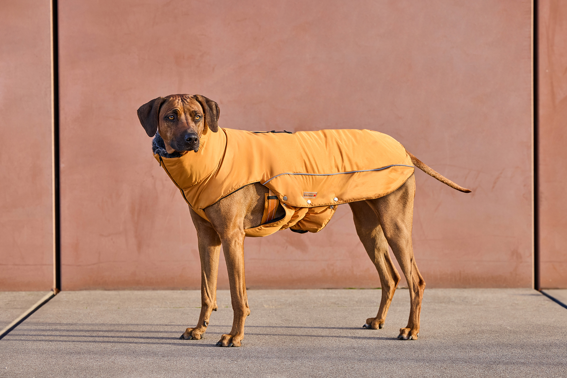 Amundsen Winter Coat