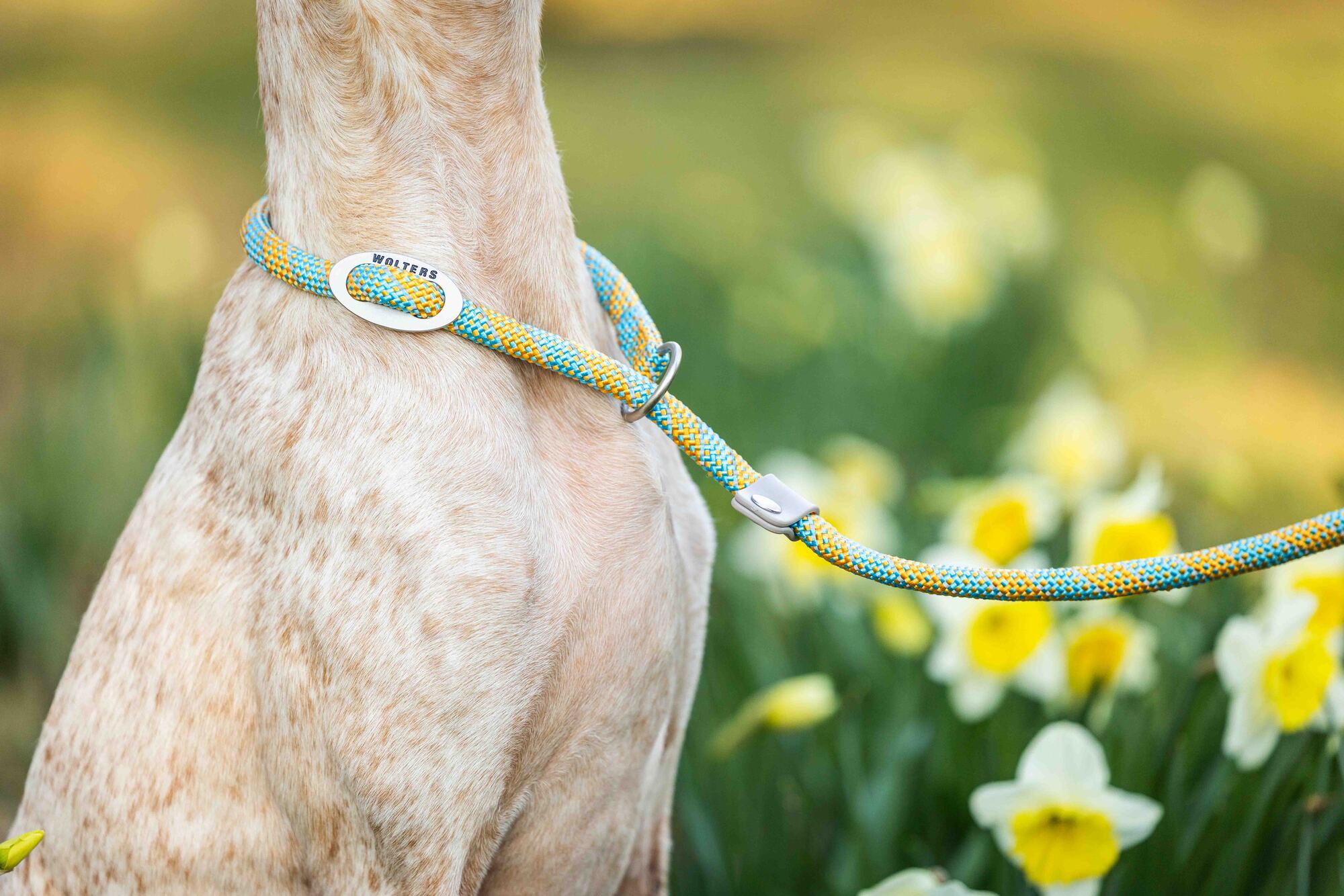 Everest Rope Series Slip Lead