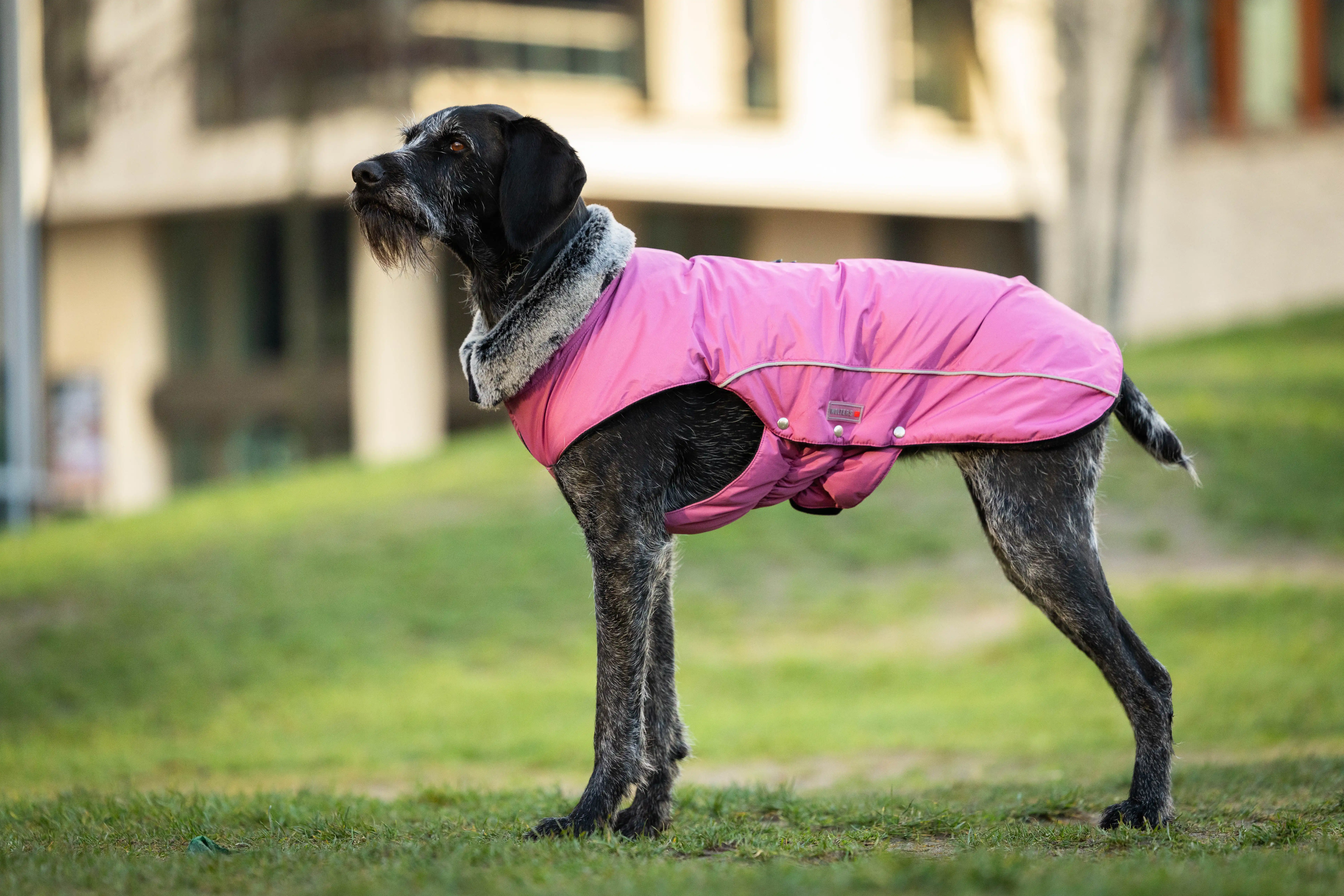 Winter Jacket Amundsen