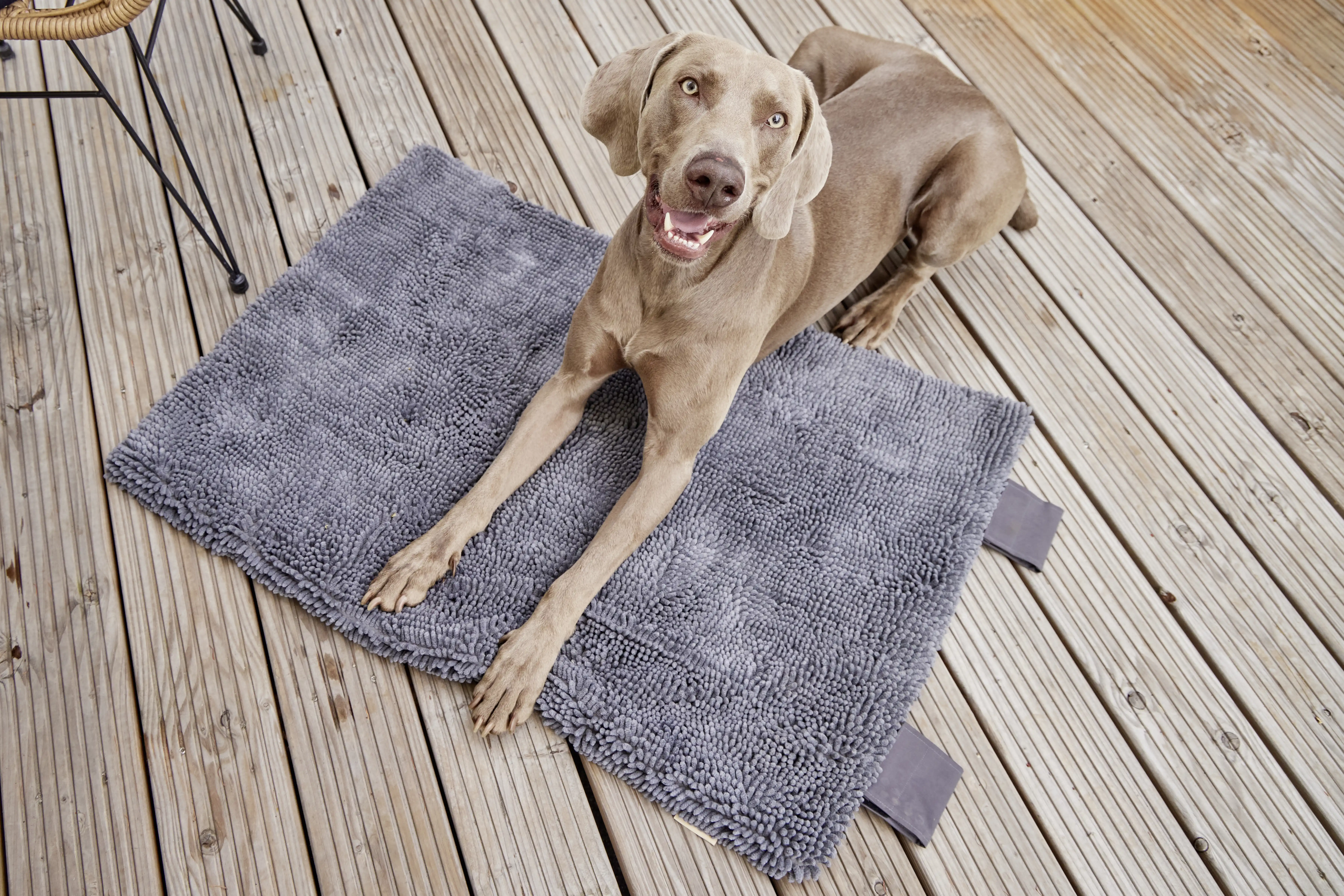  Reisedecke Hunde Vagabund meets Cleankeeper