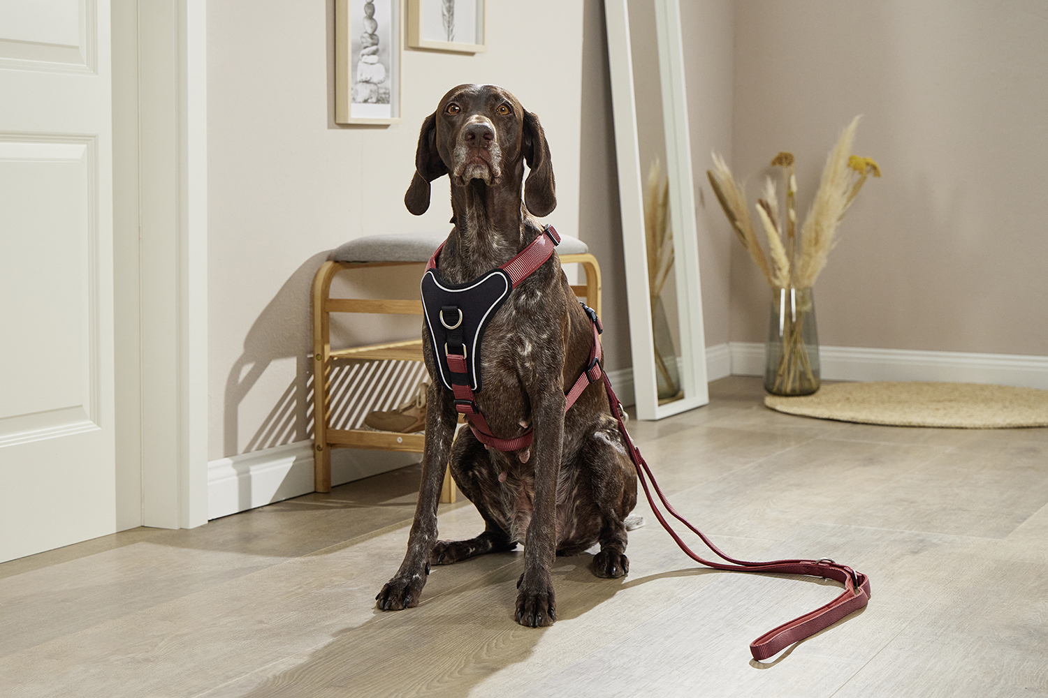 Professional Comfort standard lead