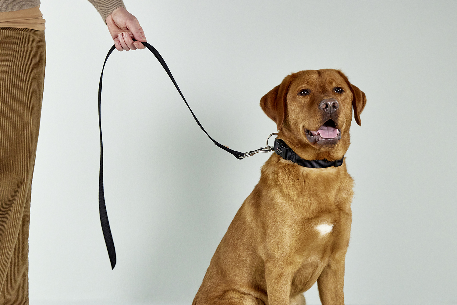 Avanti Training Lead