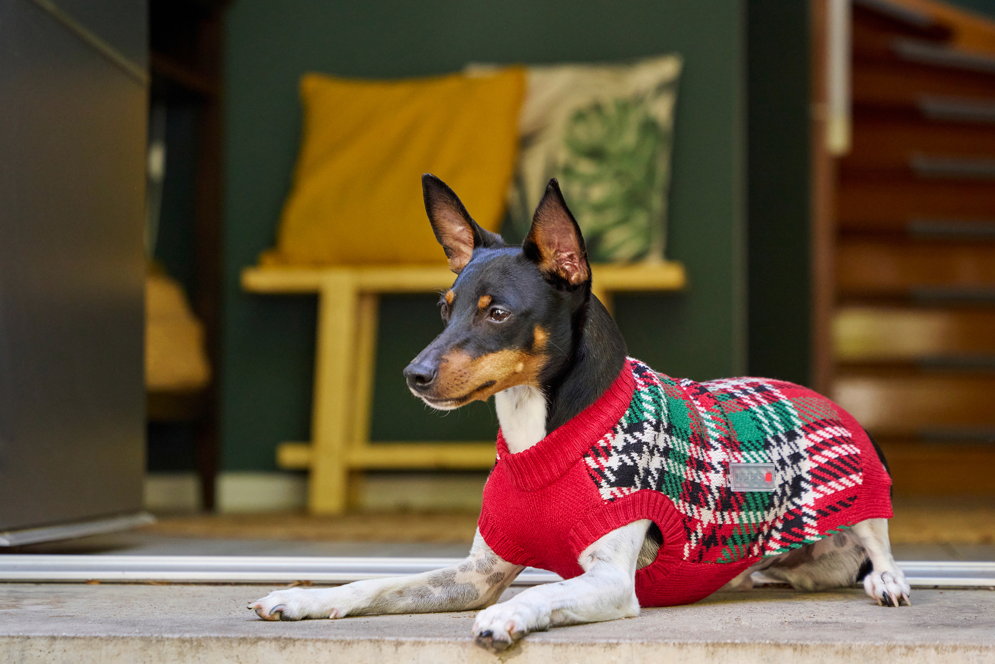 Knitted Jumper Karolinchen