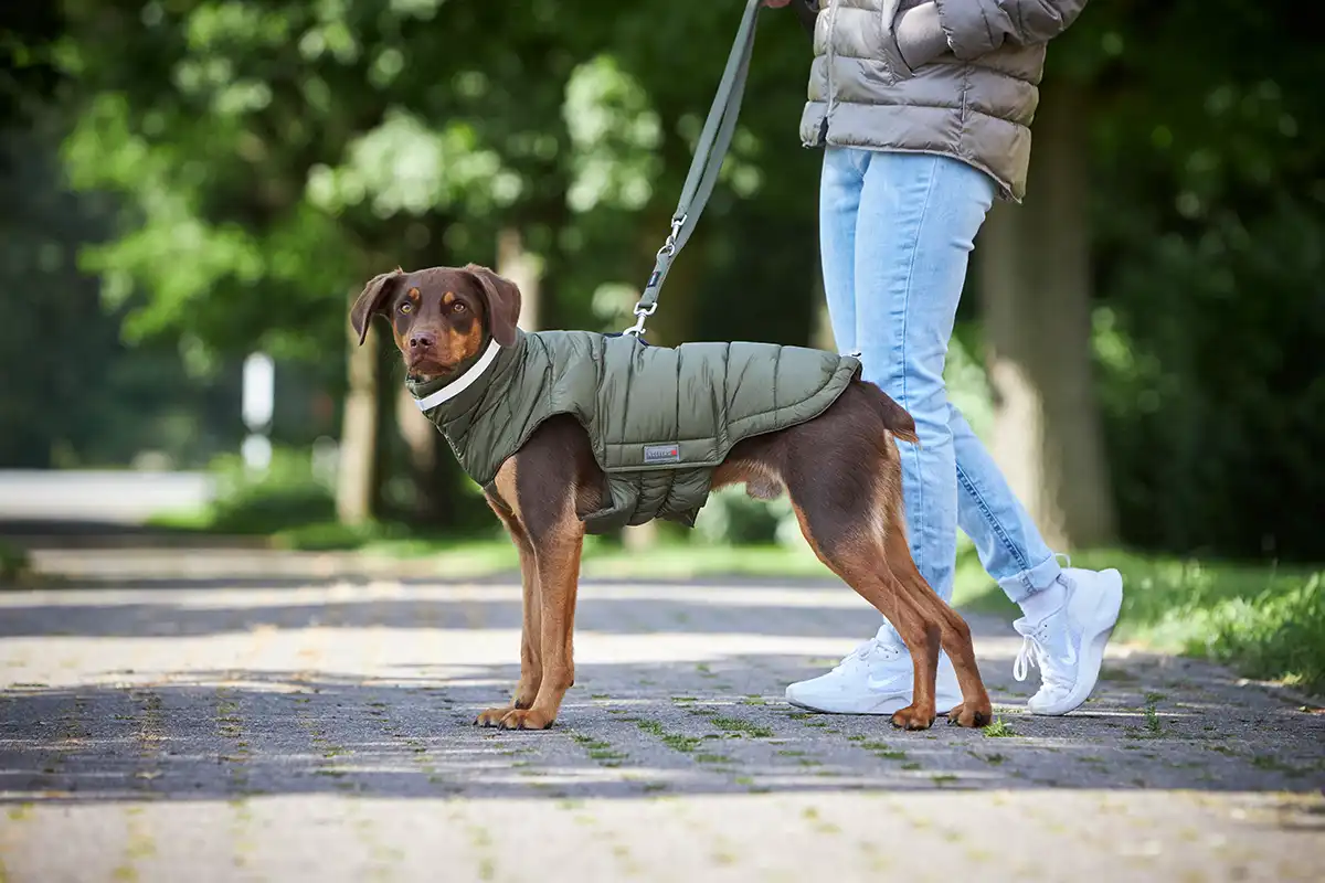 Quilted Jacket Cosy