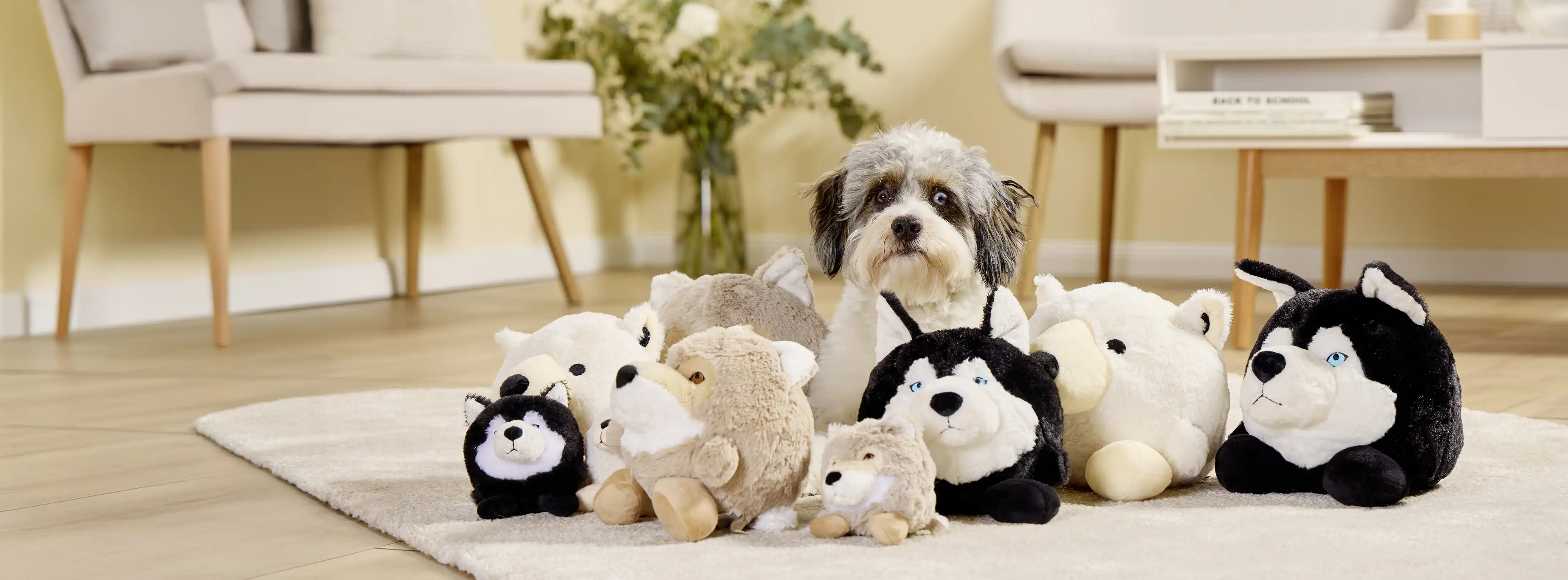 Plüschbälle für Hunde