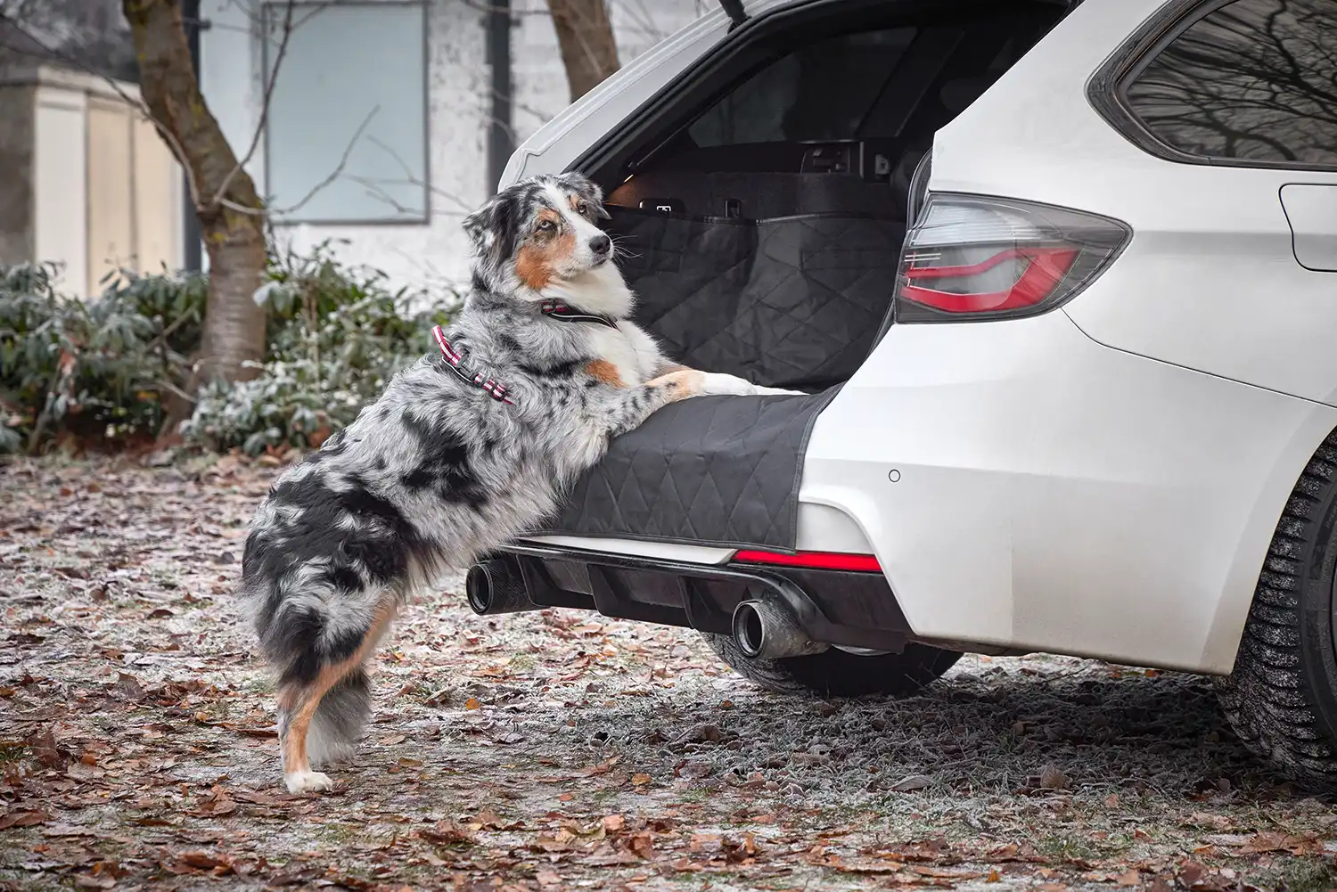 Clean Car Pet Cargo Cover