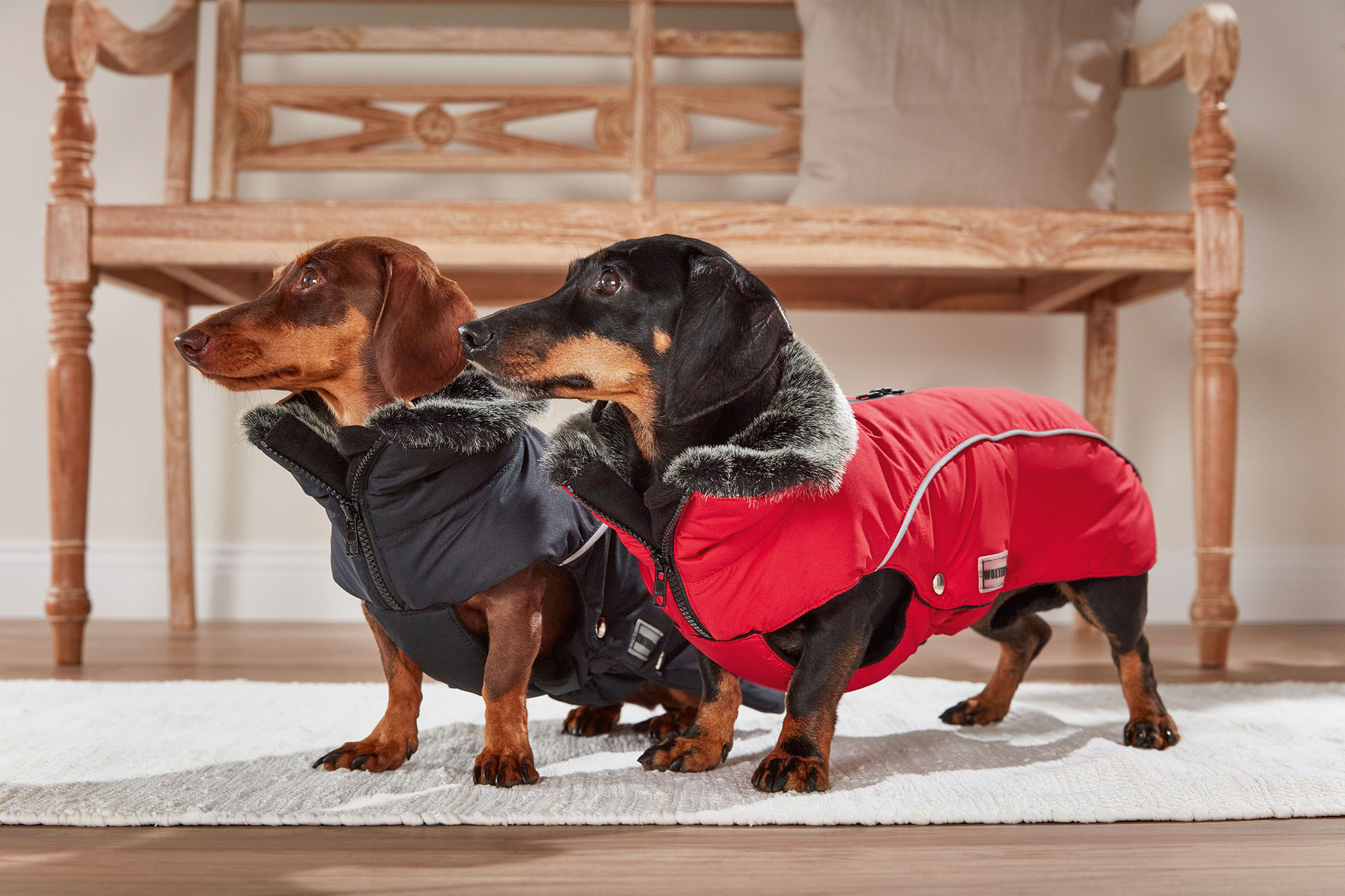 Amundsen Winter Coat – long back