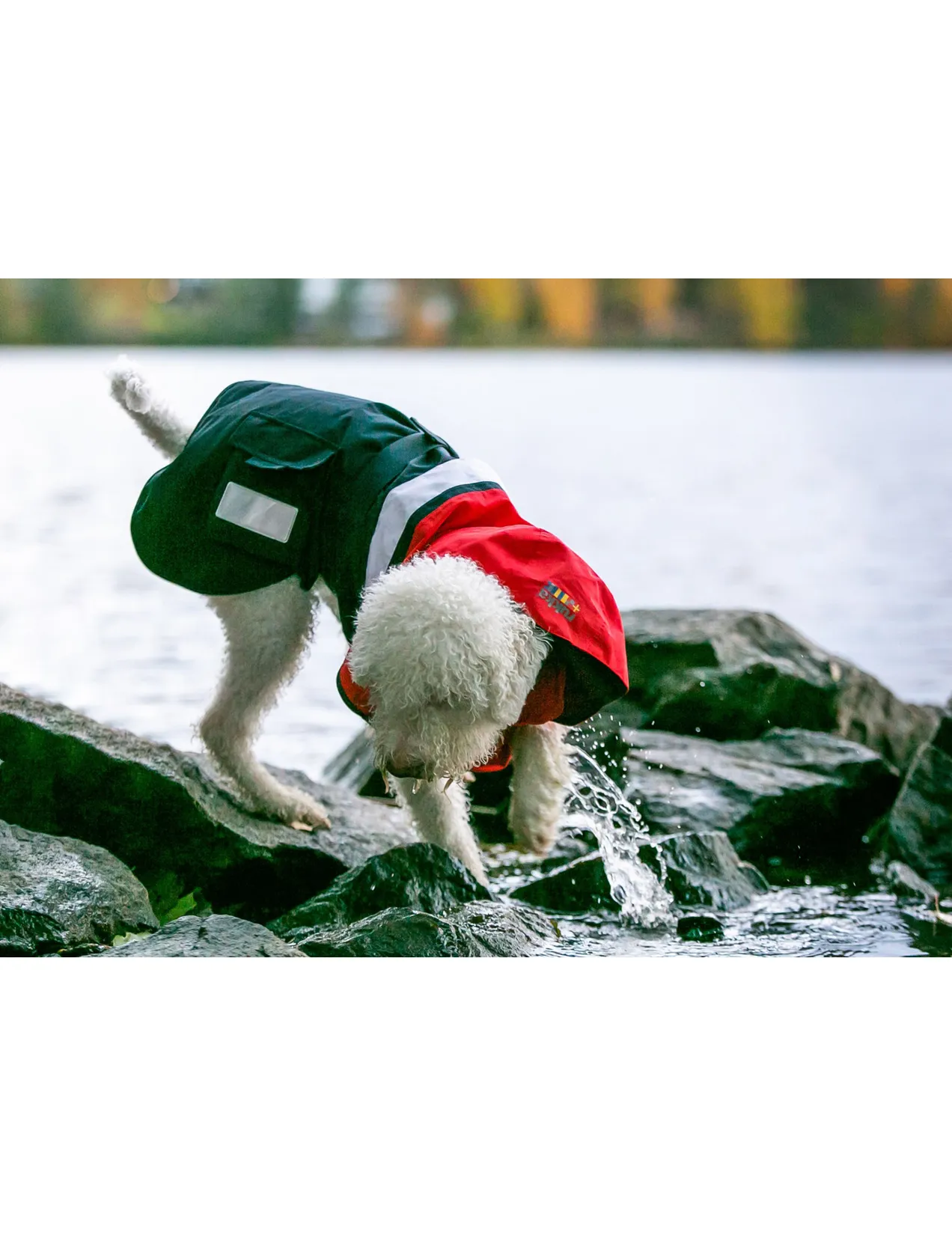 Rukka Pets Regenmantel Wavy