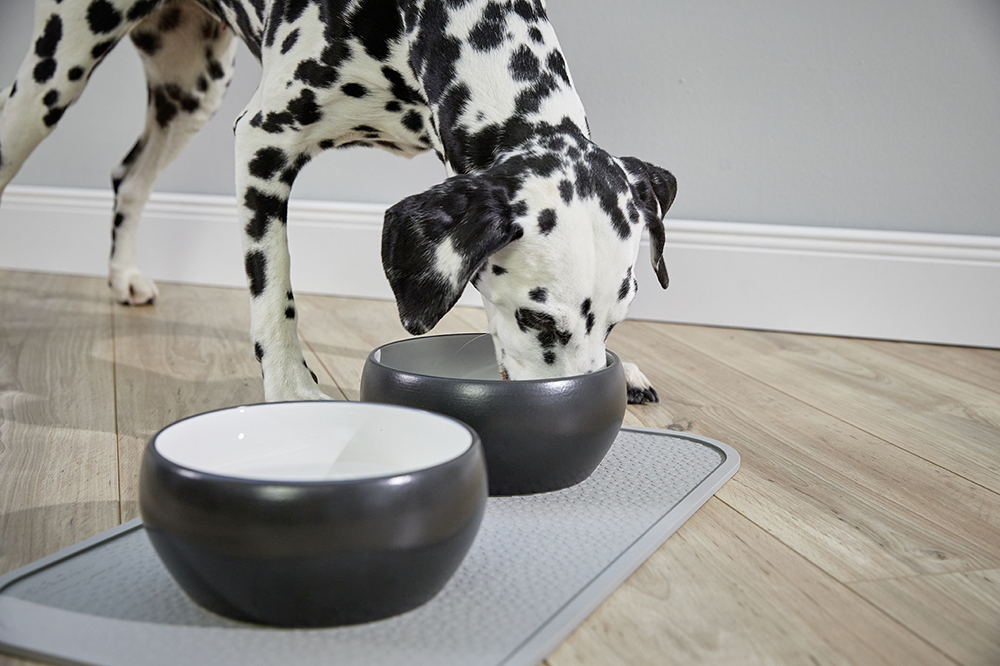  WOLTERS cat & dog GmbH