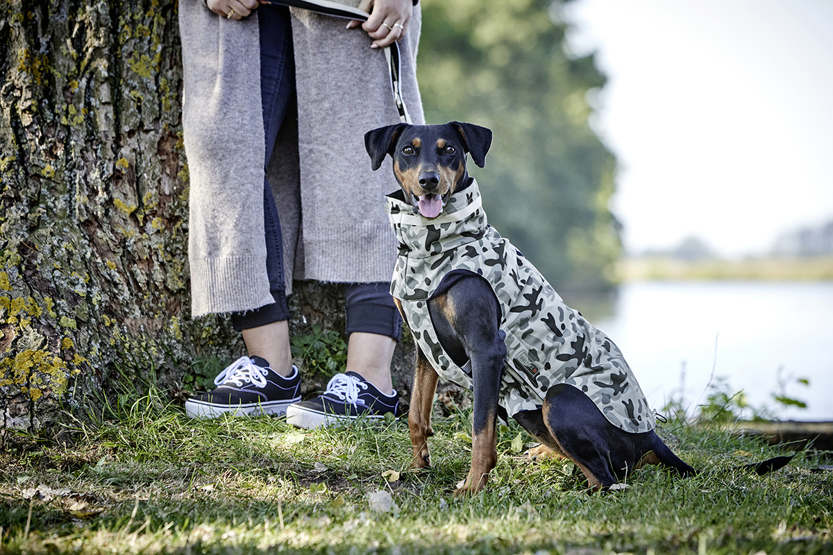  WOLTERS cat & dog GmbH