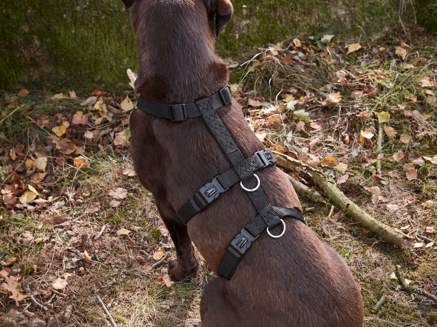 Professional Escape-Proof Harness