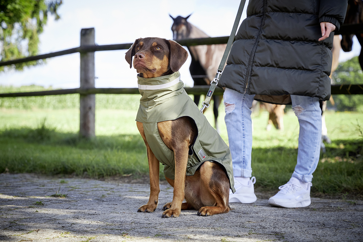 Outdoor Jacket Modern Classic