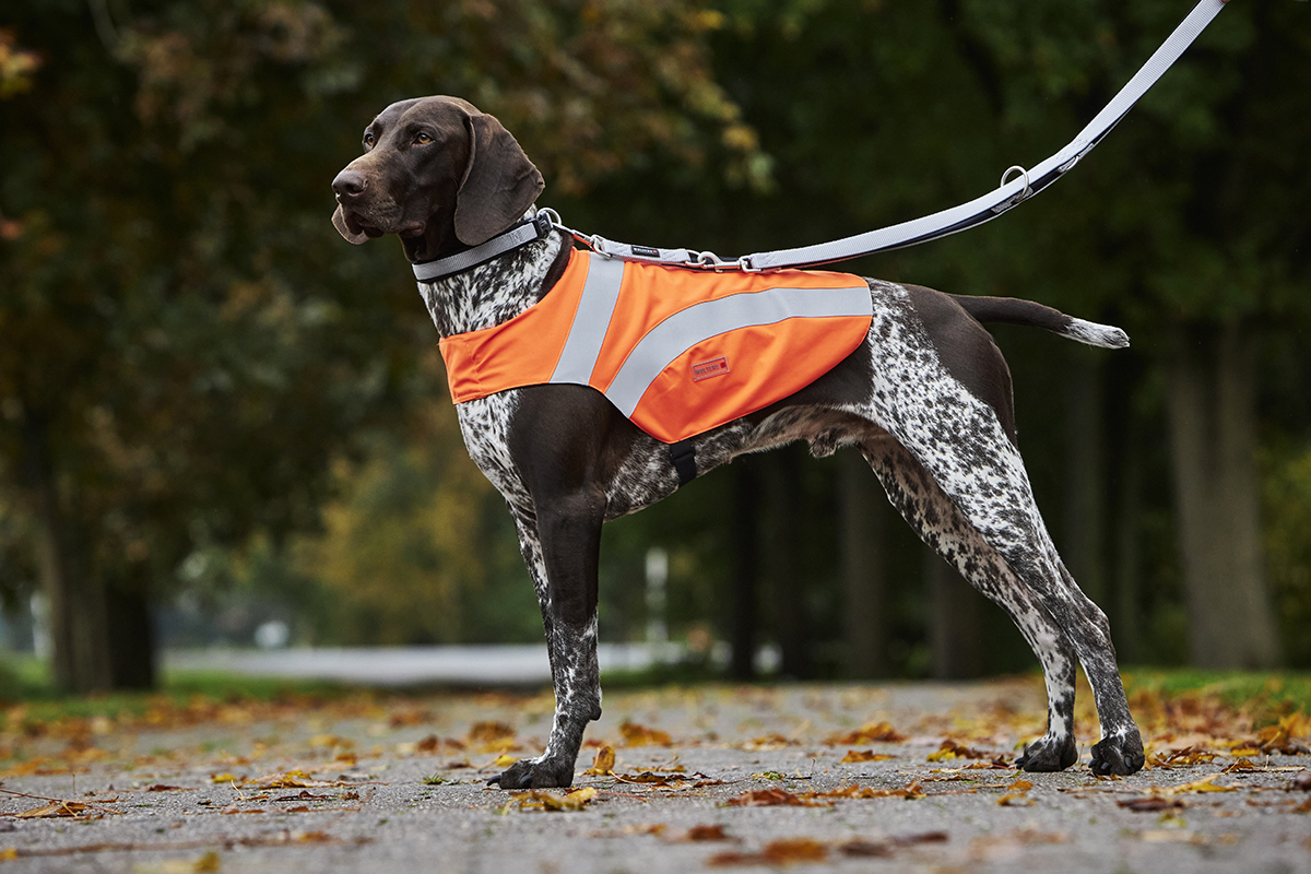 Escape-proof Vest Security