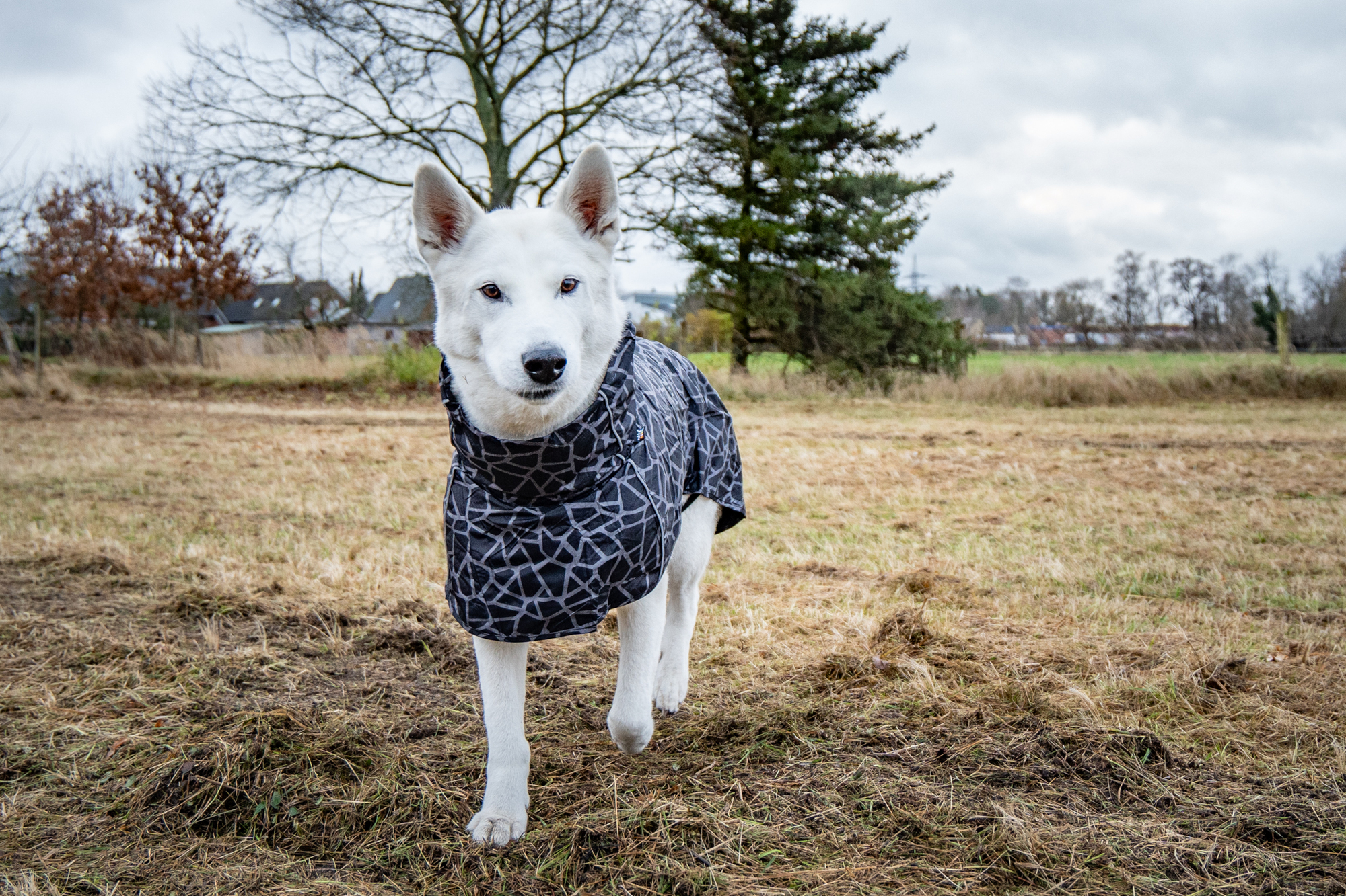 RUKKA Pets Raincoat Hayton Warm