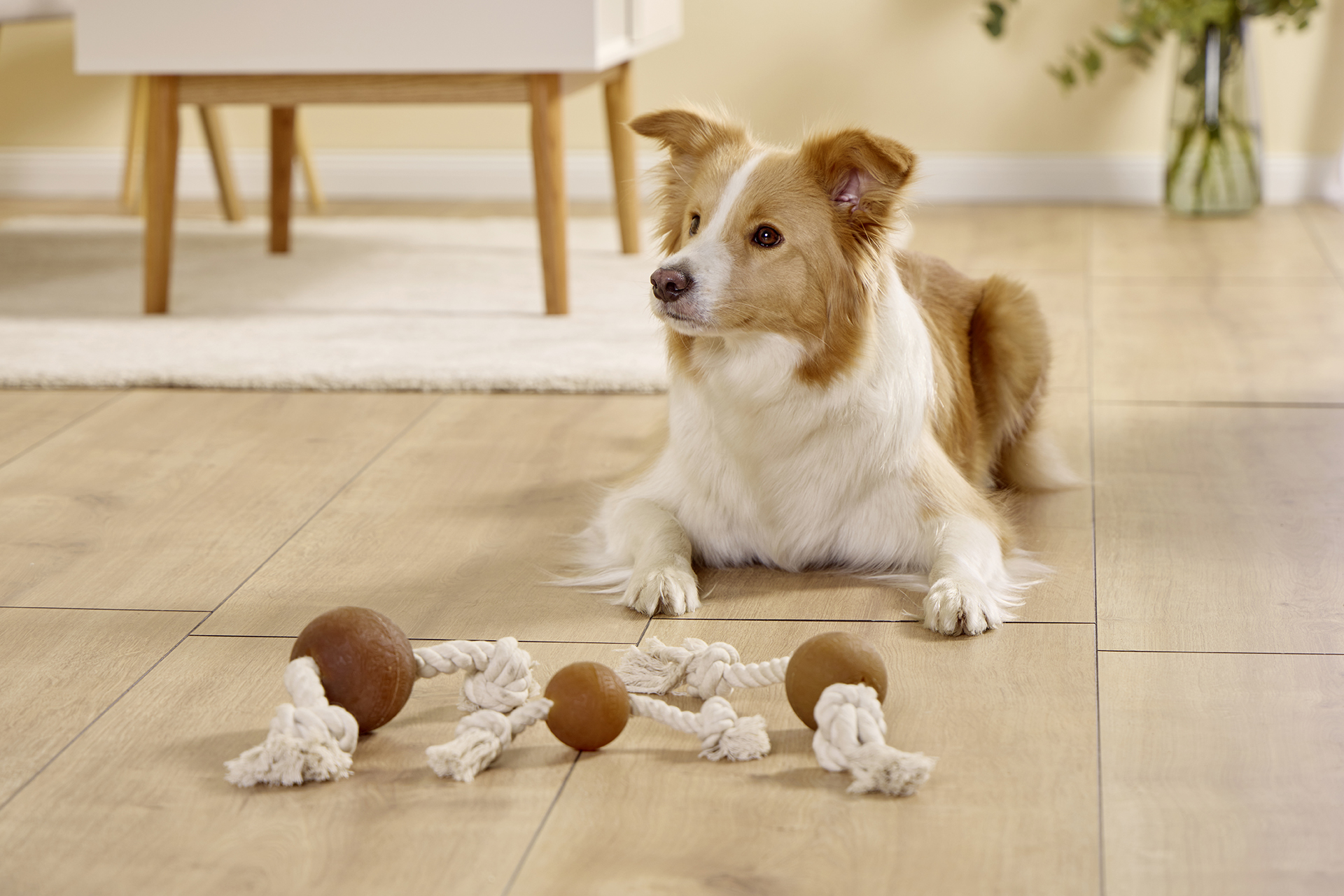 Pure Nature Spielball am Seil WOLTERS cat & dog GmbH