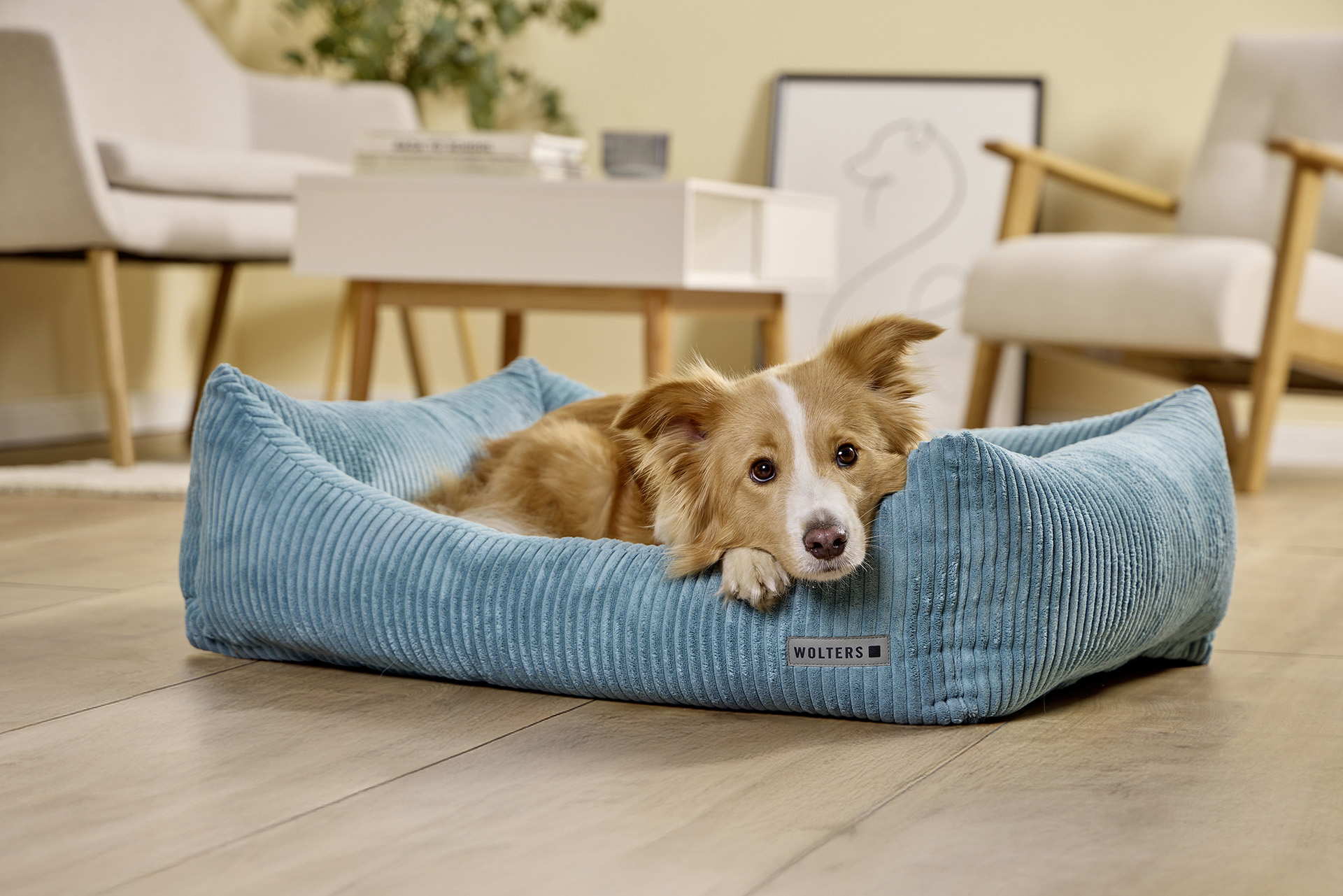 Kilian Cord Lounge WOLTERS cat & dog GmbH
