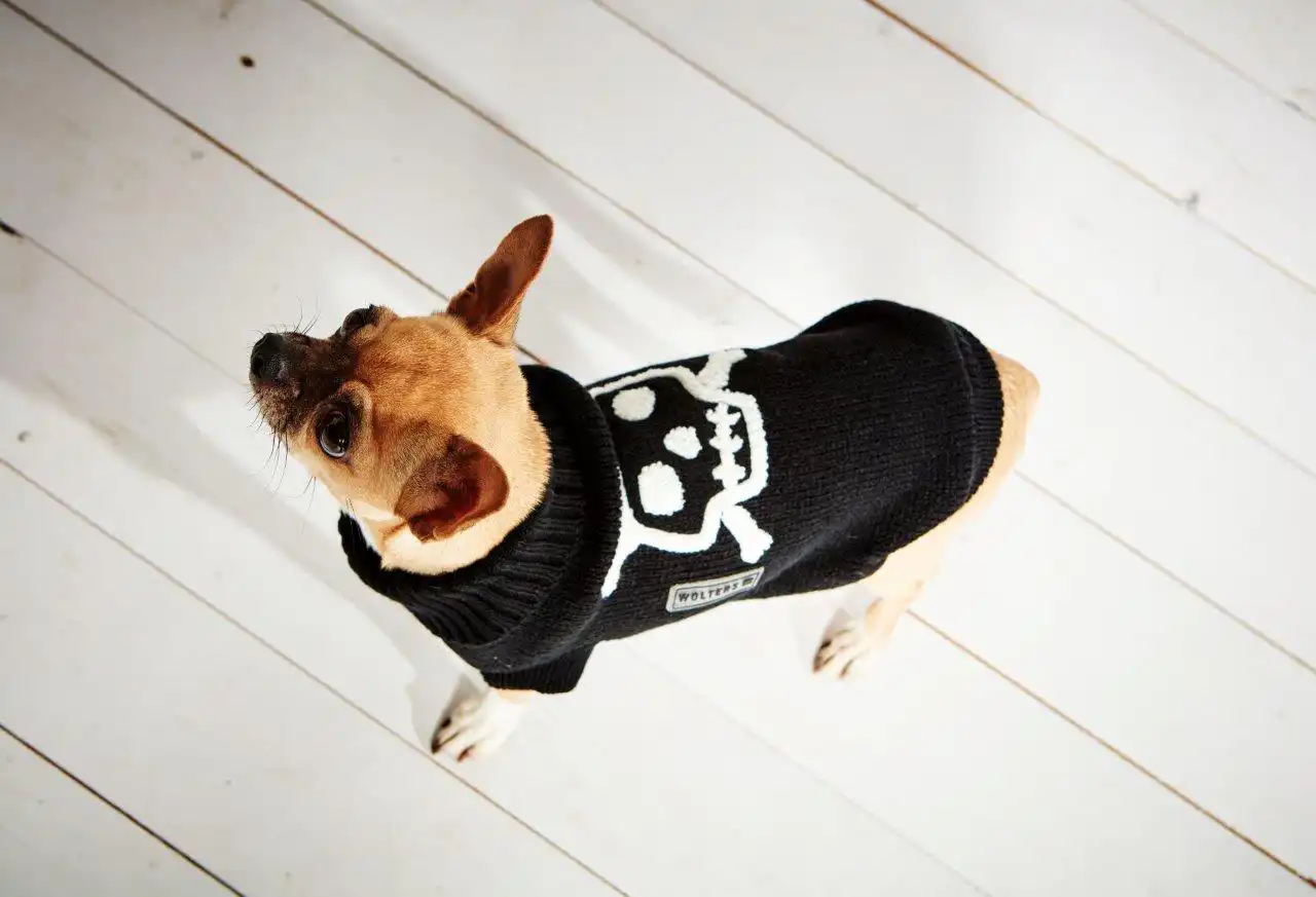 Knitted Pullover Skull