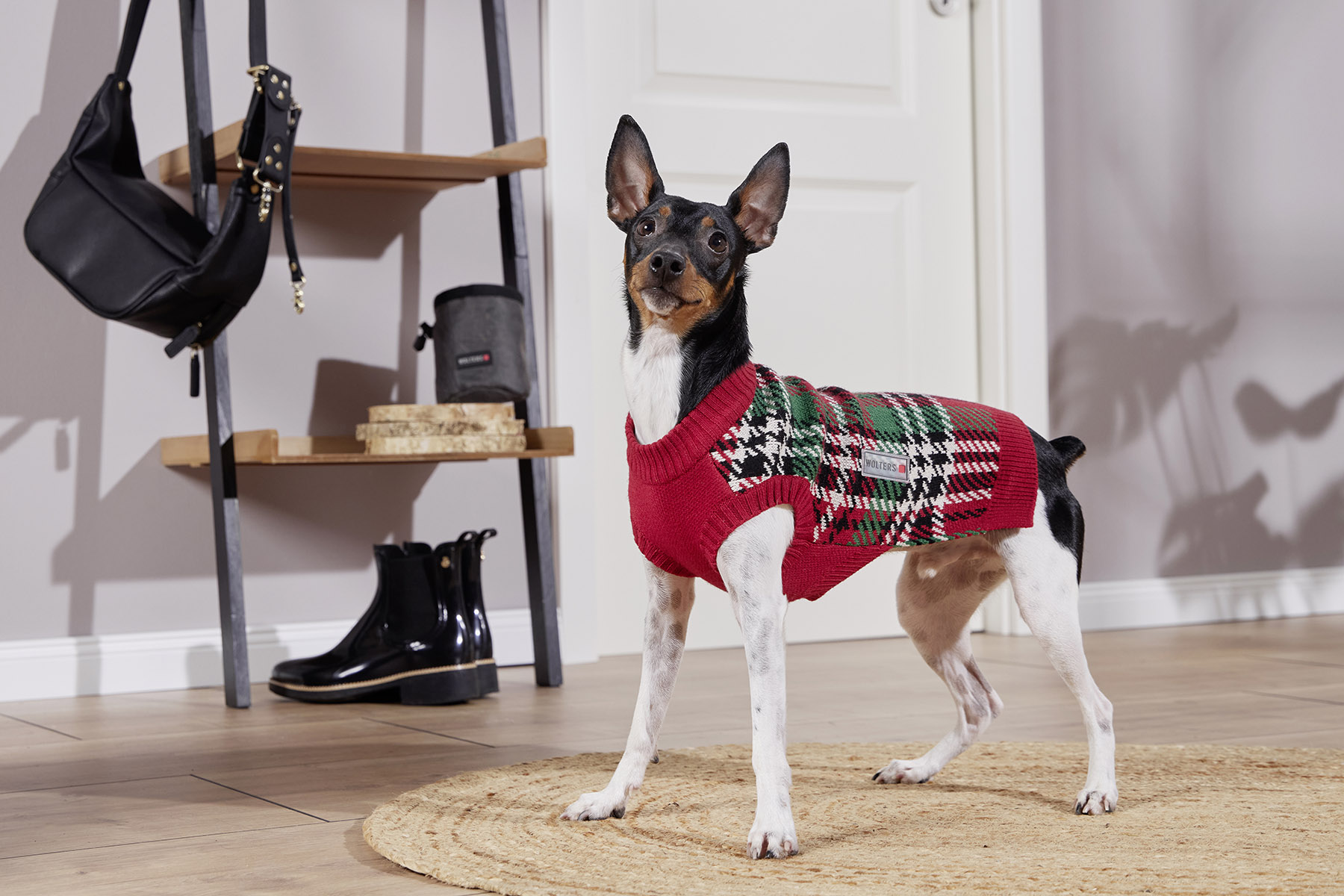  WOLTERS cat & dog GmbH