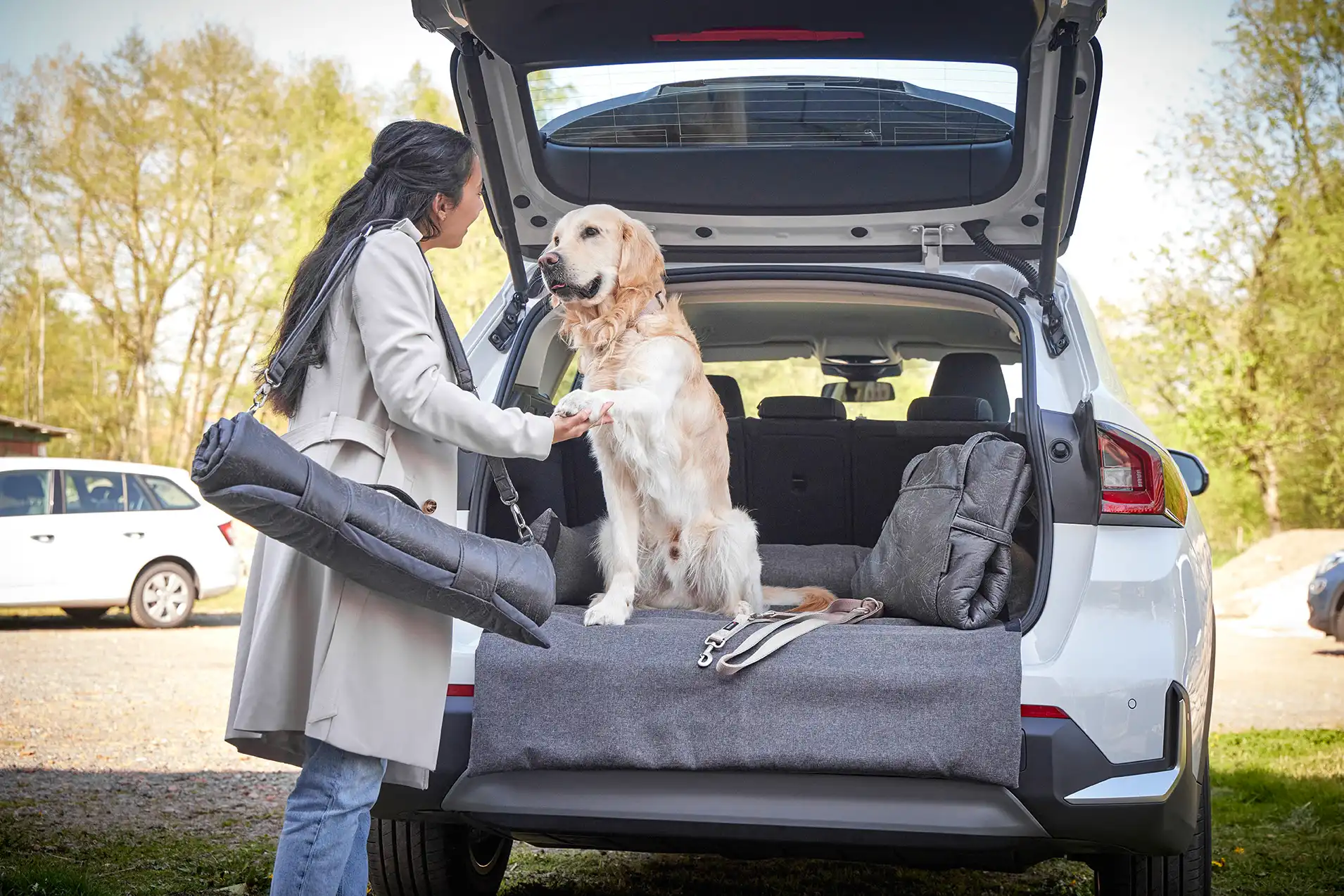 Dog Traveling Trunk Bed