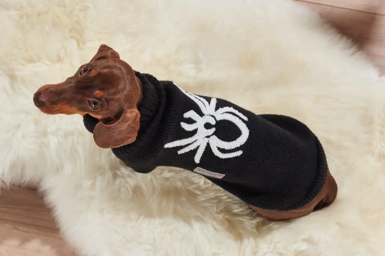 Knitted Pullover Spider