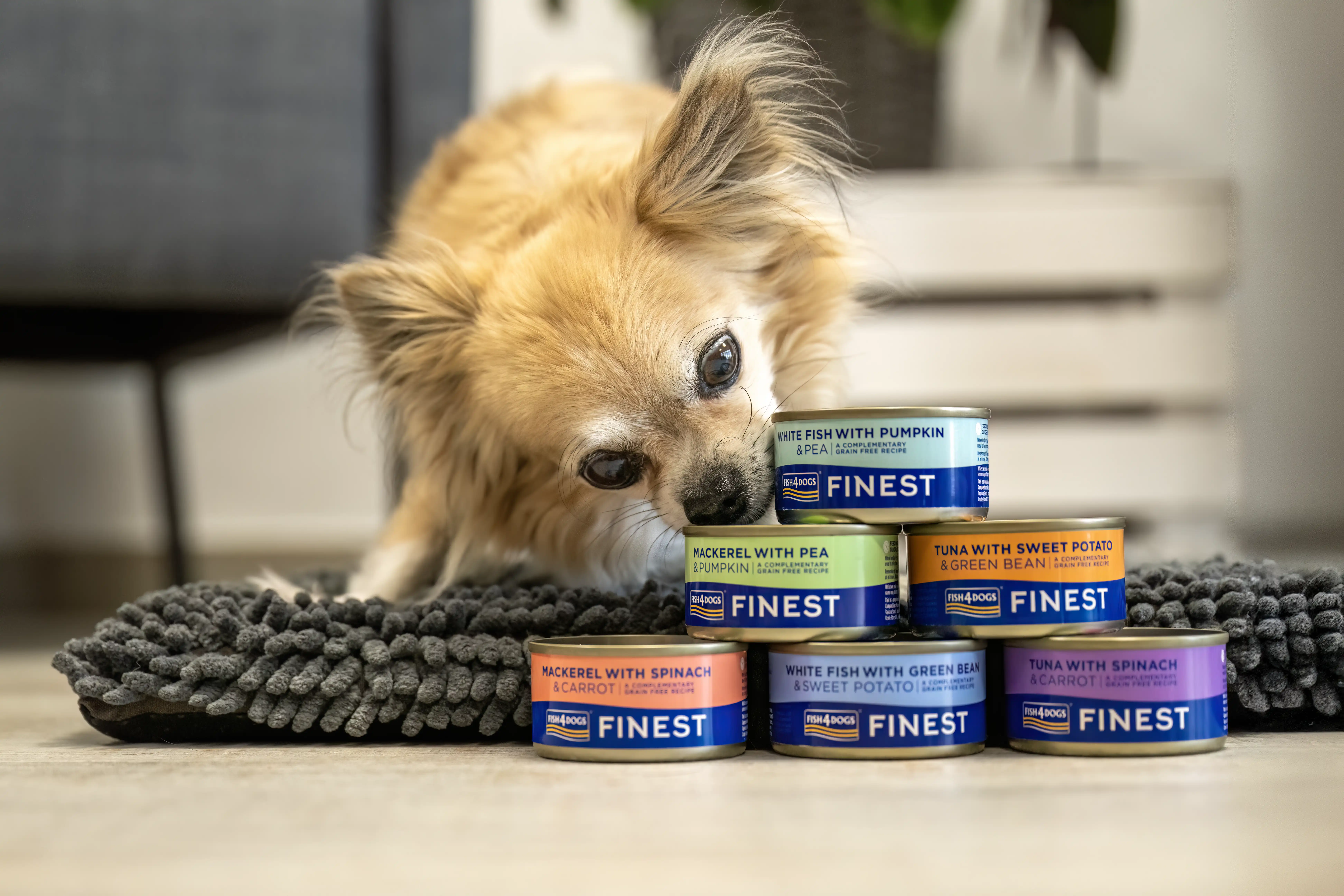 Fish4Dogs Finest