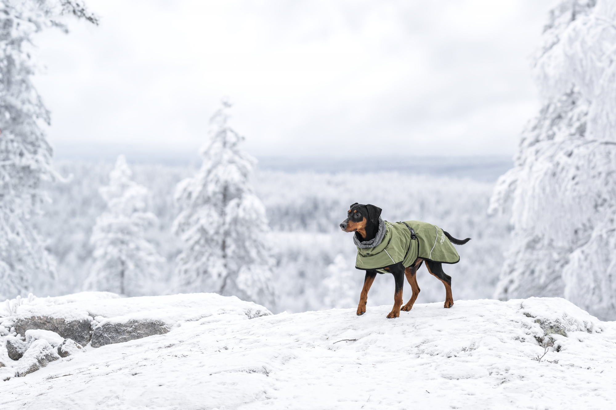 RUKKA Pets Winter Coat Warmup 2.0