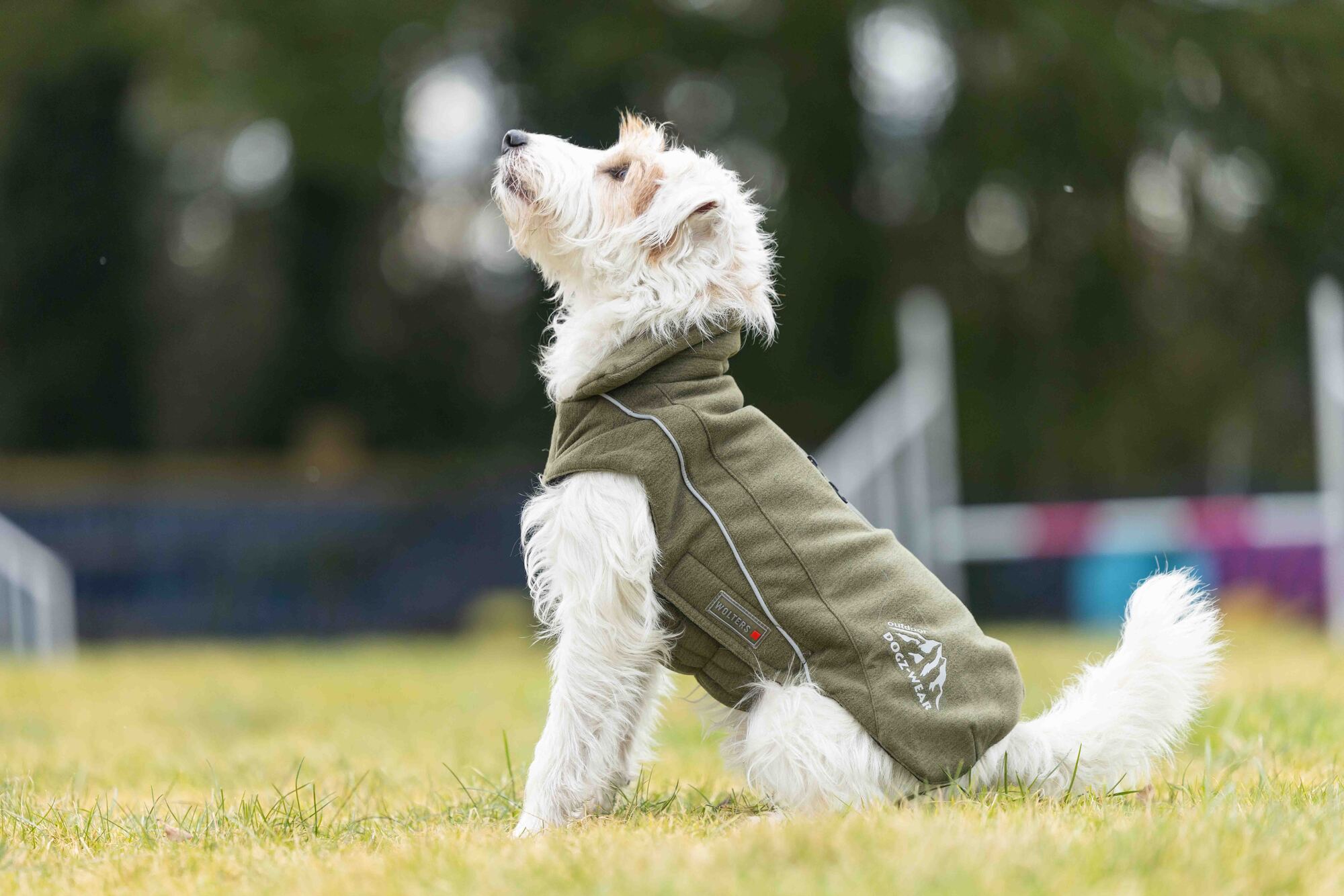  WOLTERS cat & dog GmbH