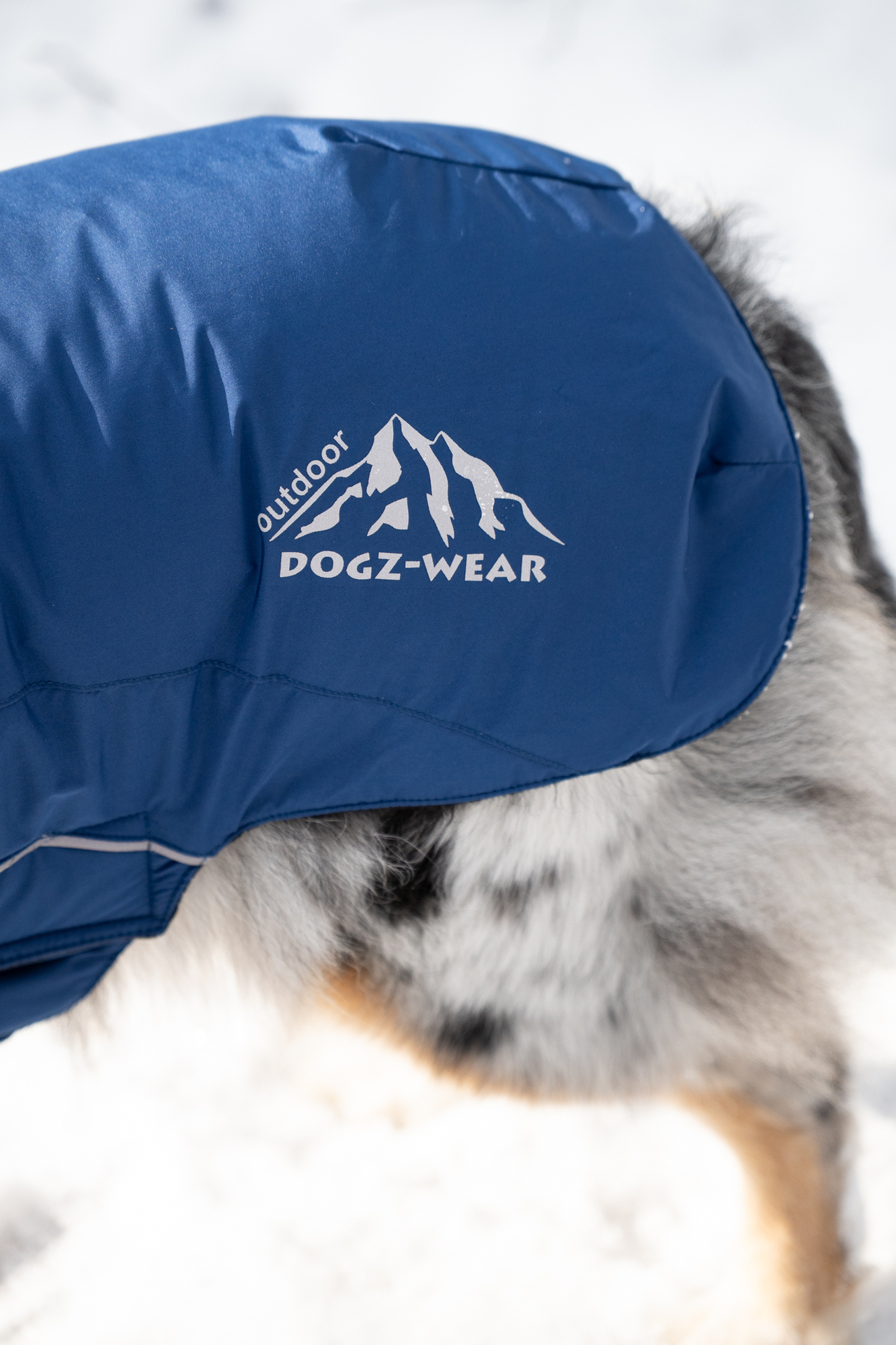 Dogz-Wear Ski Jacket