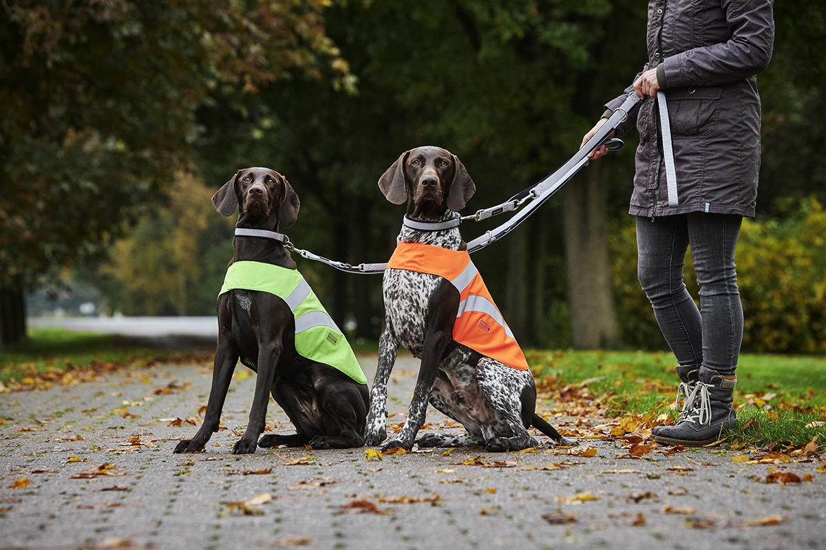  WOLTERS cat & dog GmbH